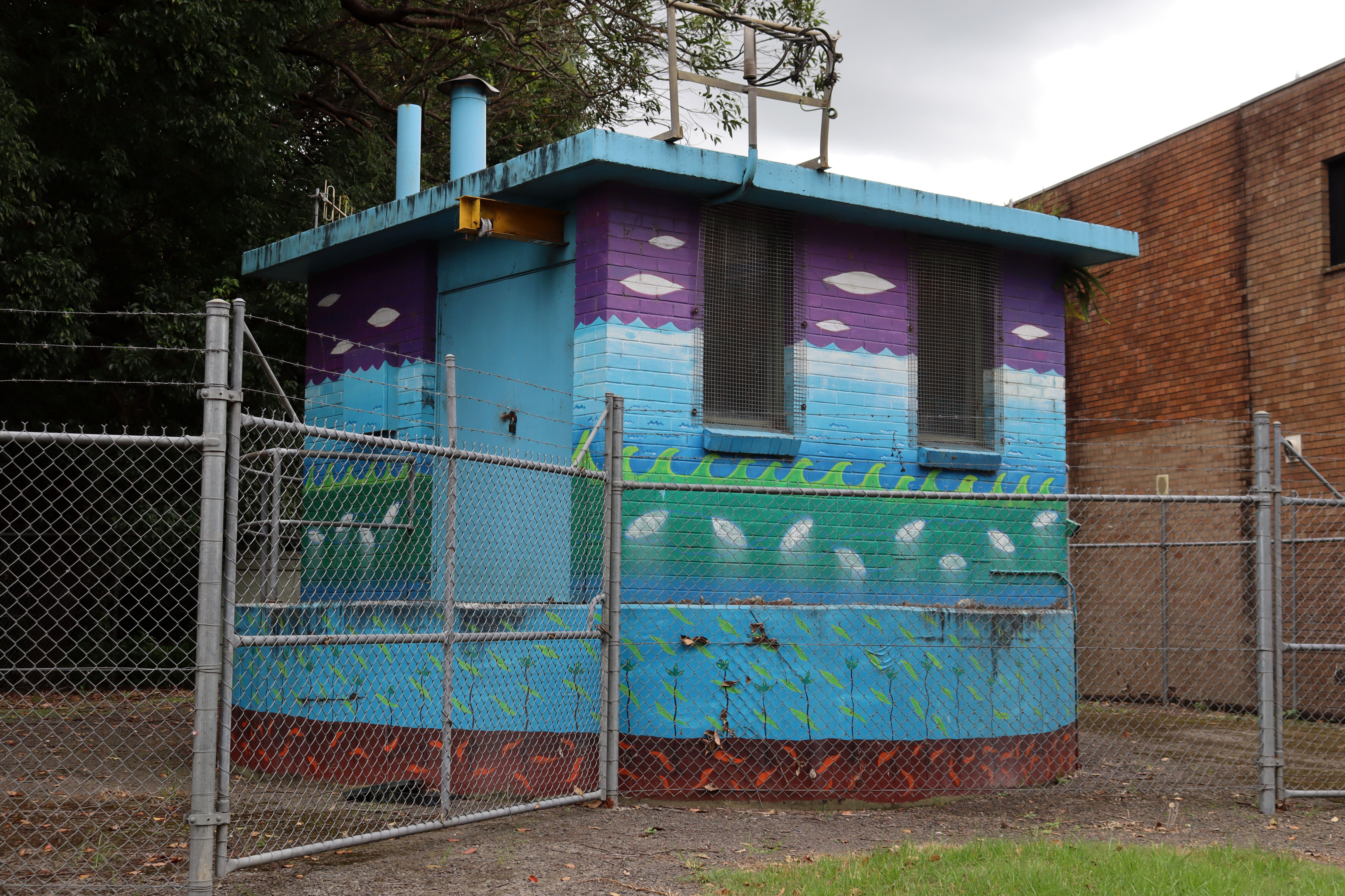 Untitled | Street Art NSW