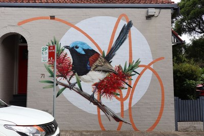 Variegated Fairy Wren
