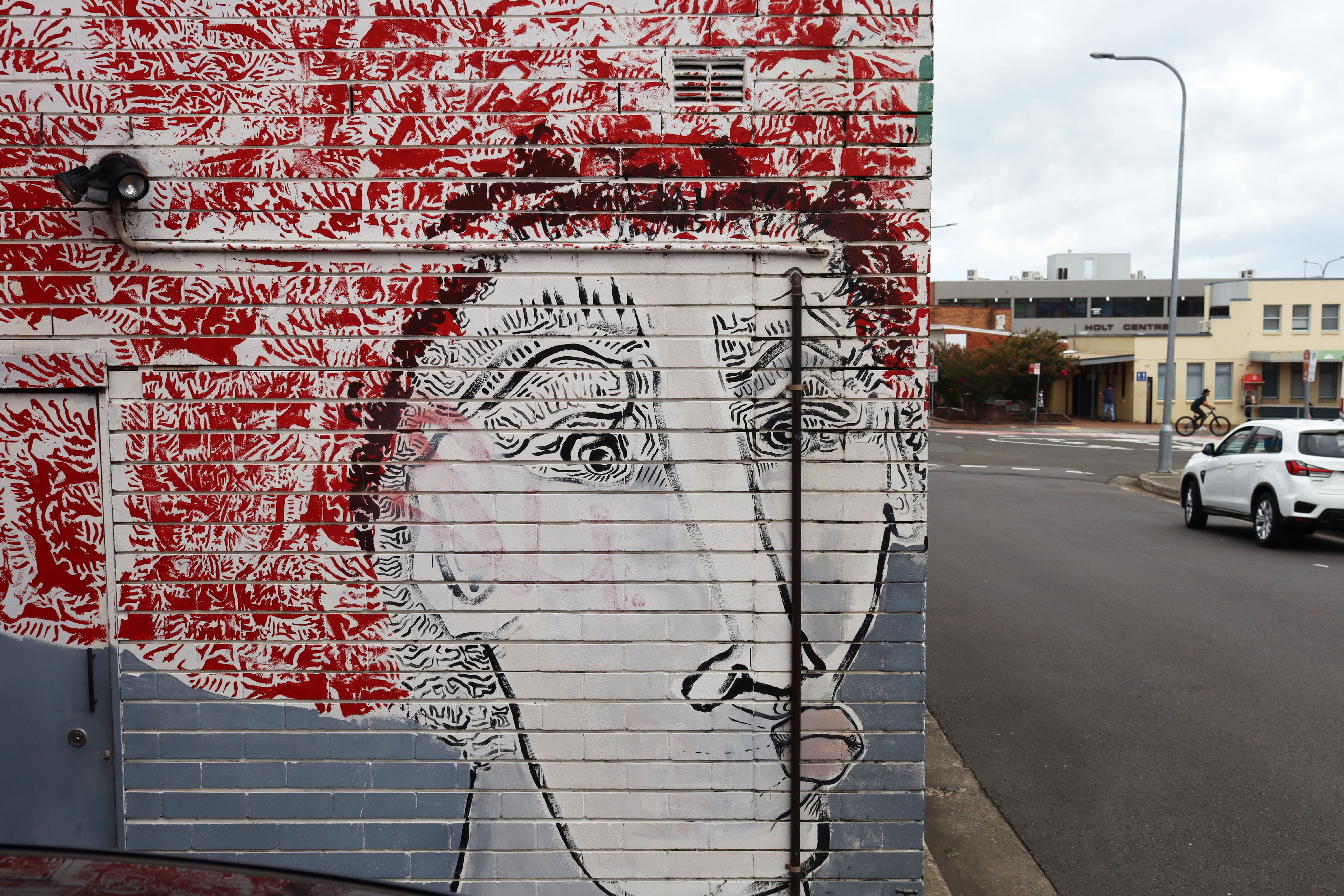Untitled by Rhys Bryant | Street Art NSW