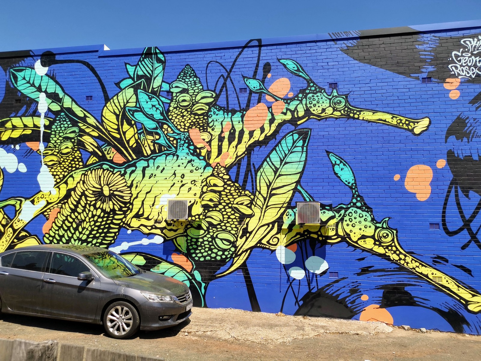 Untitled by George Rose | Street Art NSW
