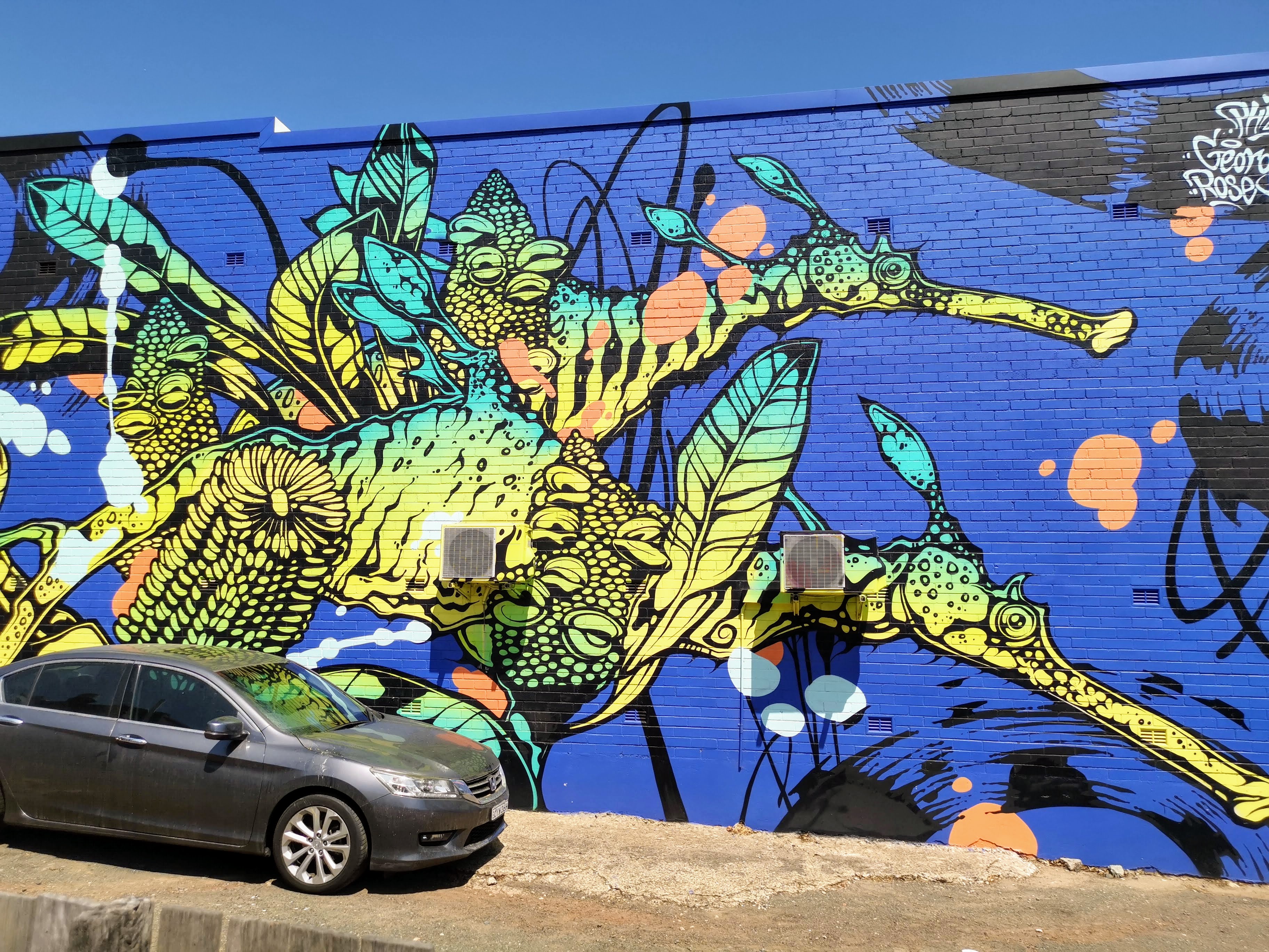 Untitled by George Rose | Street Art NSW