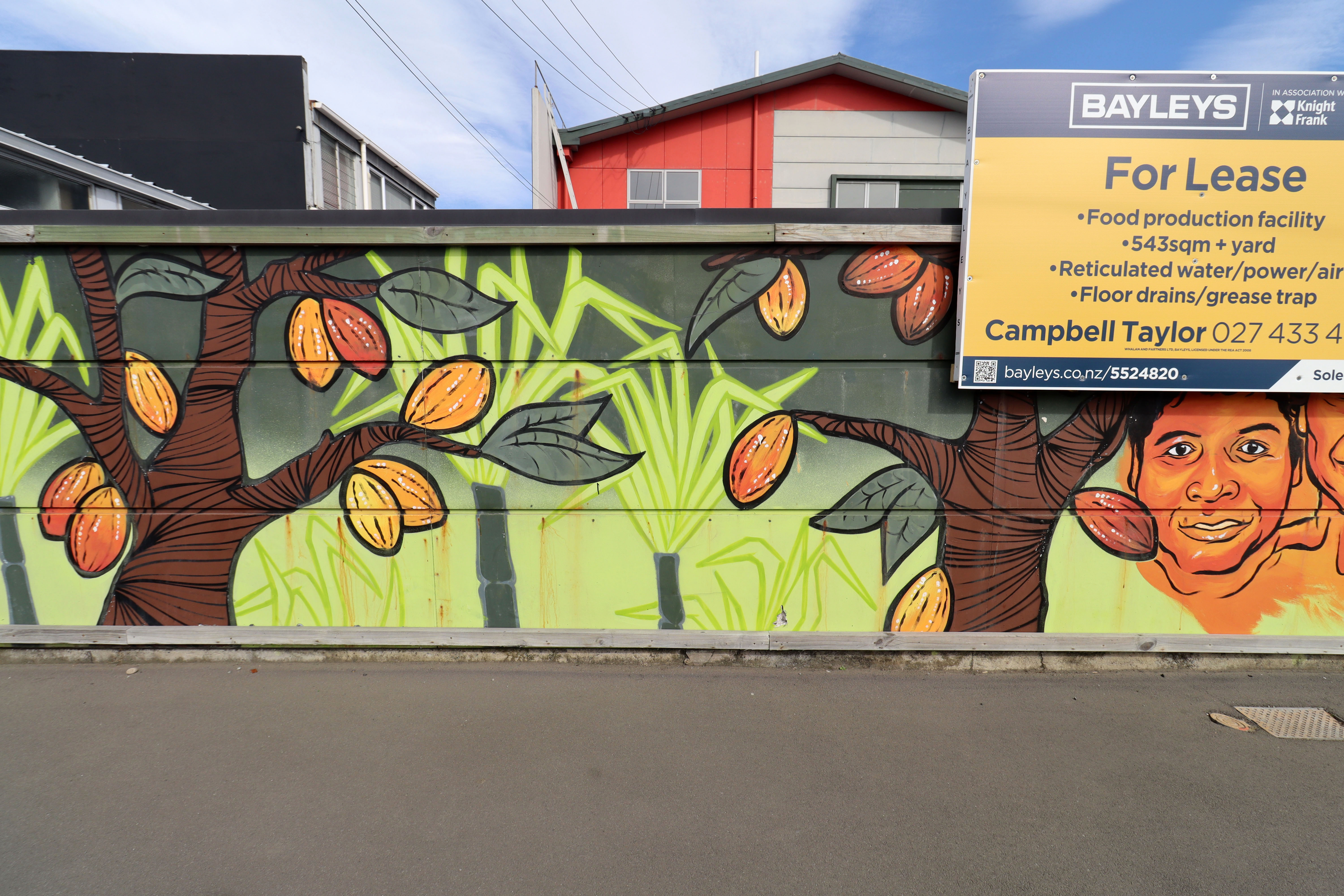Untitled | Street Art NSW