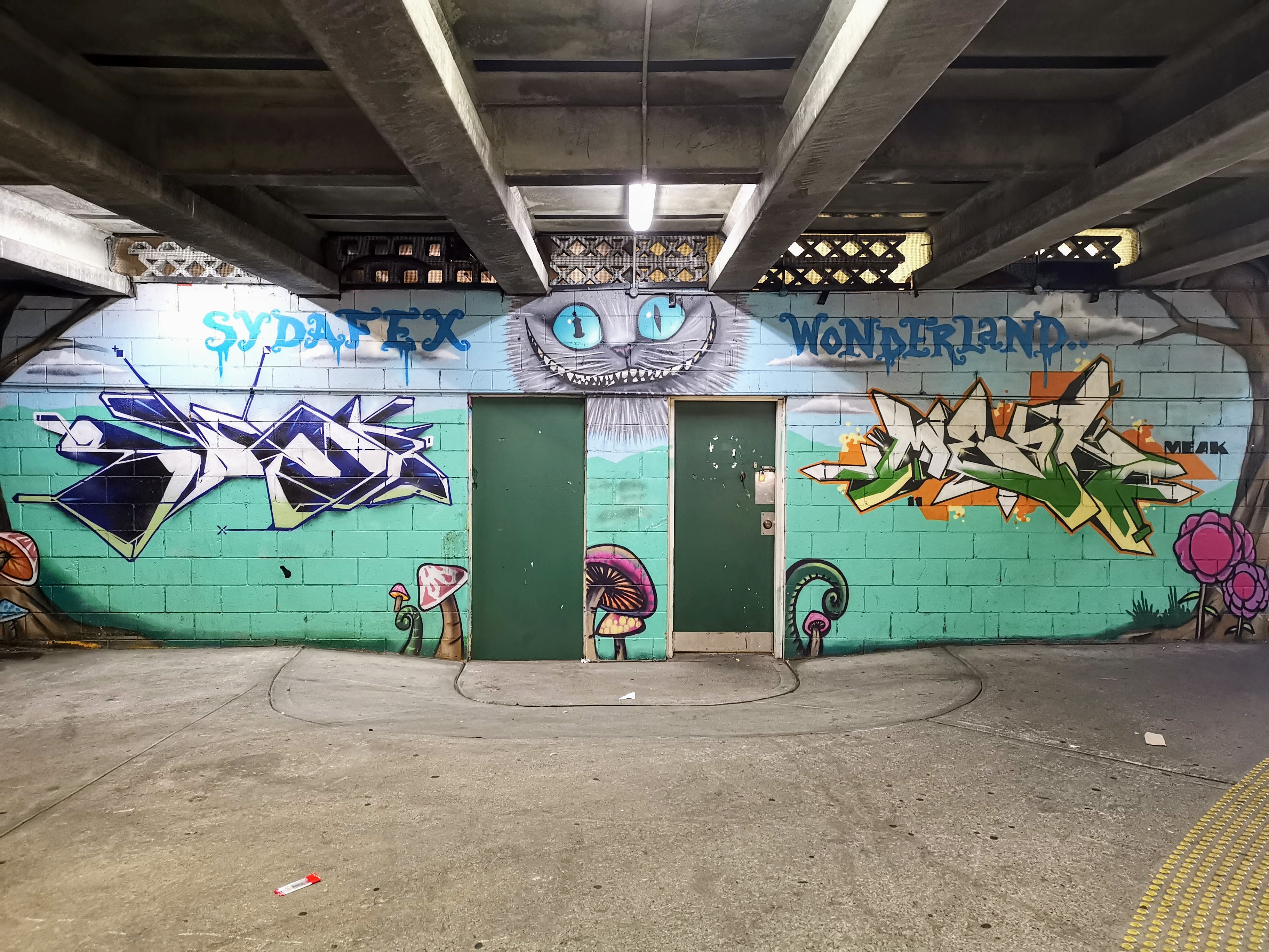 Sydafex Wonderland by Meak | Street Art NSW