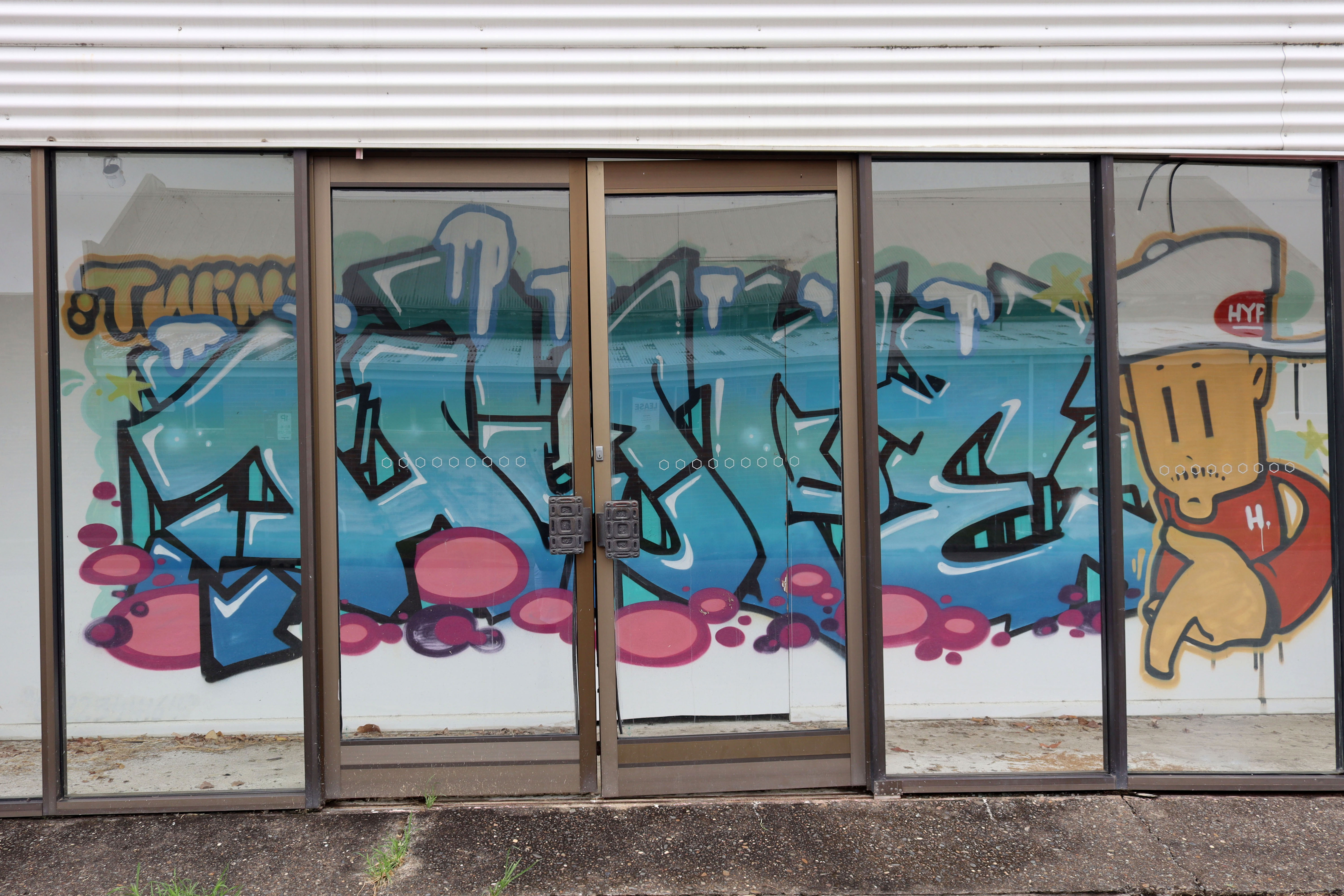 Hype Twins | Street Art NSW