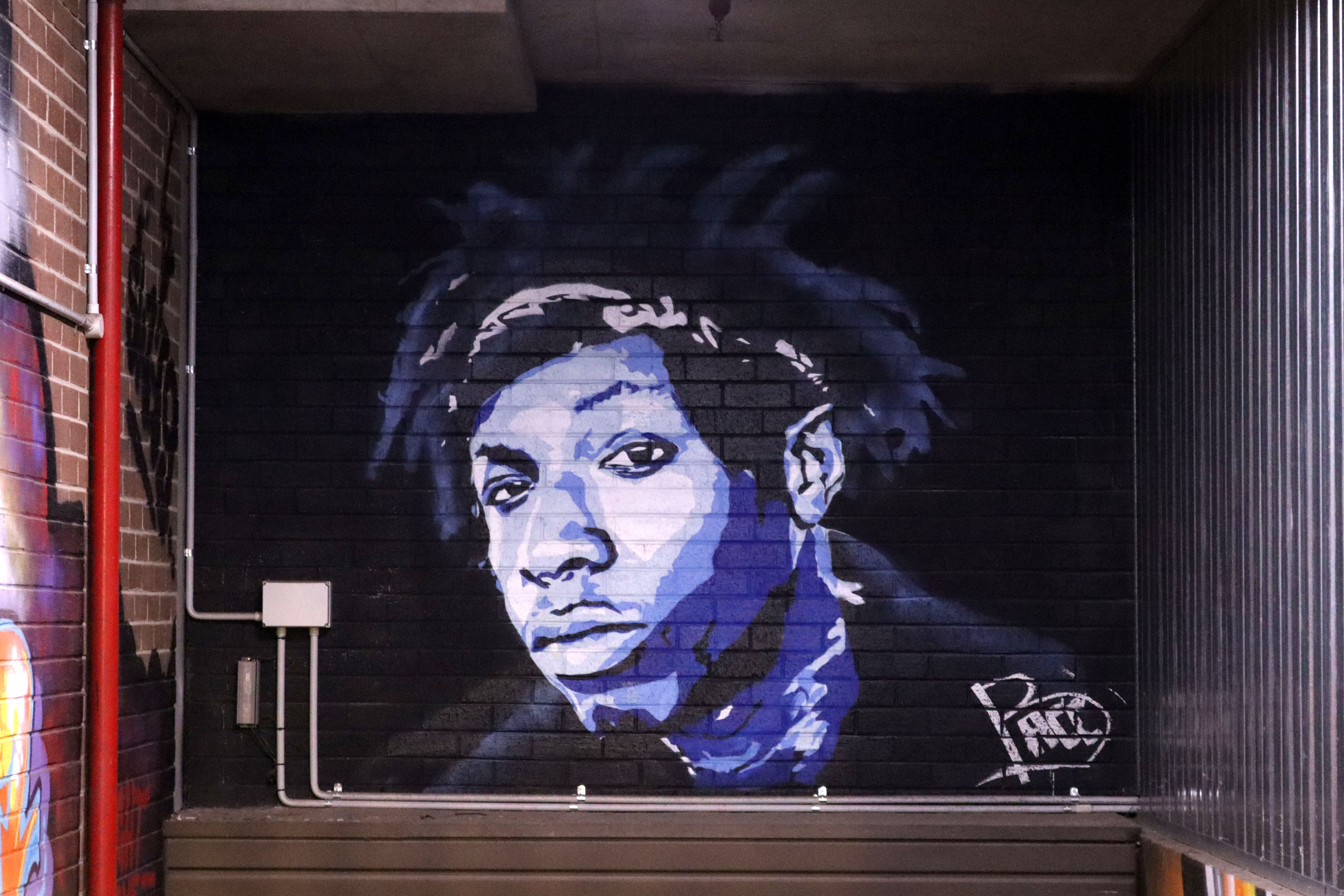 Joey Bada$ by Pace | Street Art NSW
