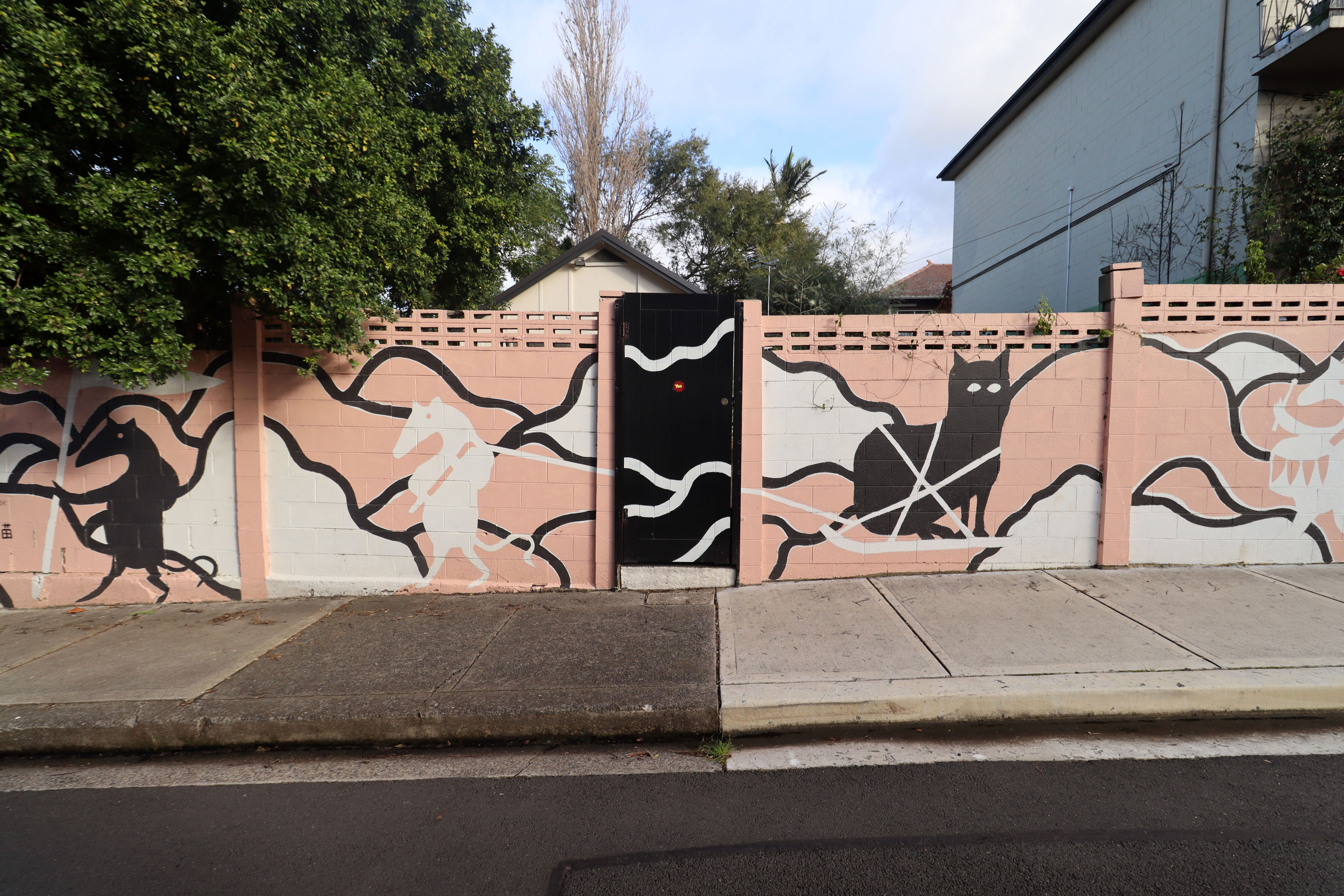 The Mice Are Burying the Cats by Cameron Emerson-Elliott | Street Art NSW