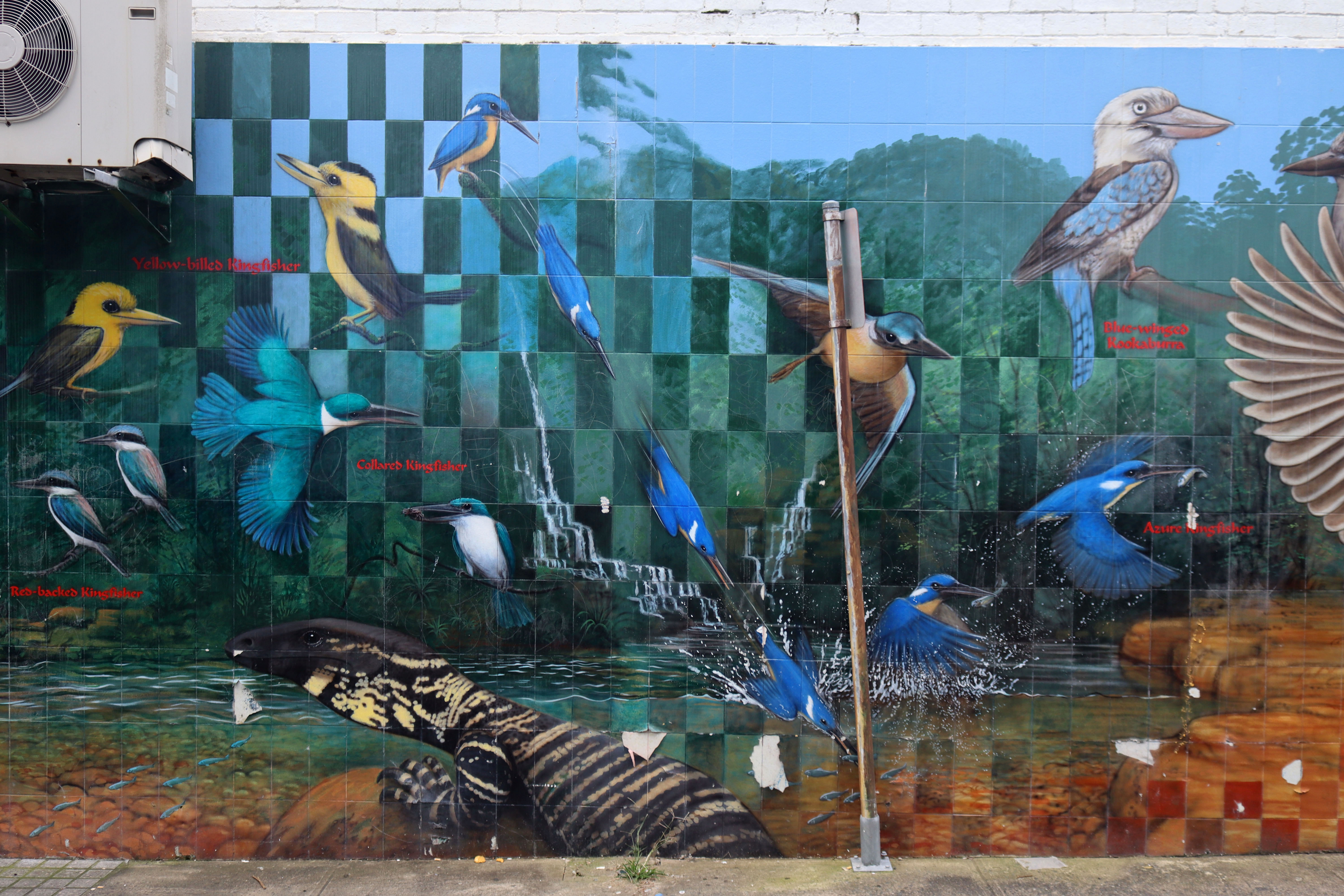 The Kingfishers and Kookaburras of Australia by Robin Martin | Street Art NSW