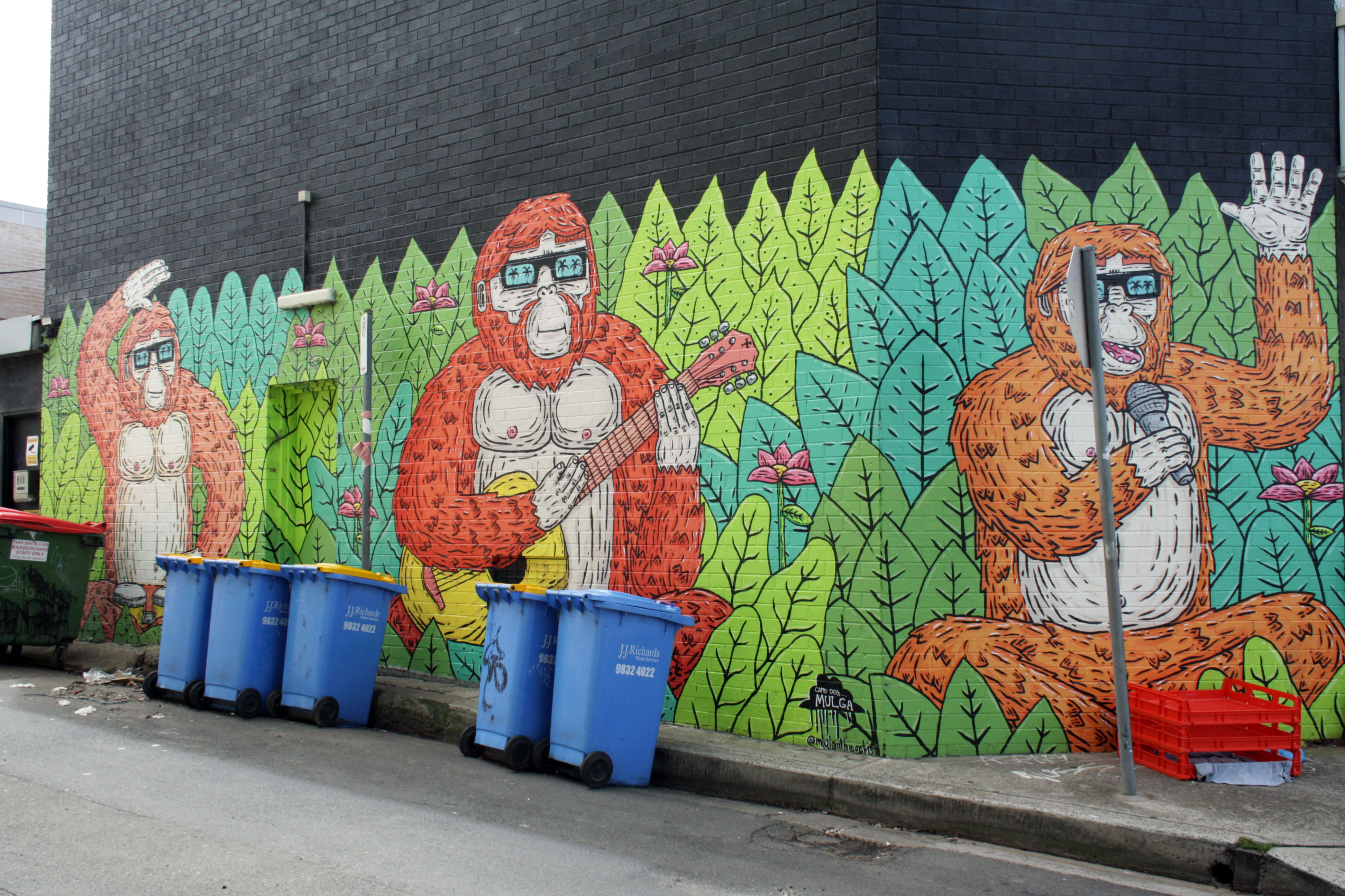Jungle Jams with the Orangutan Boys