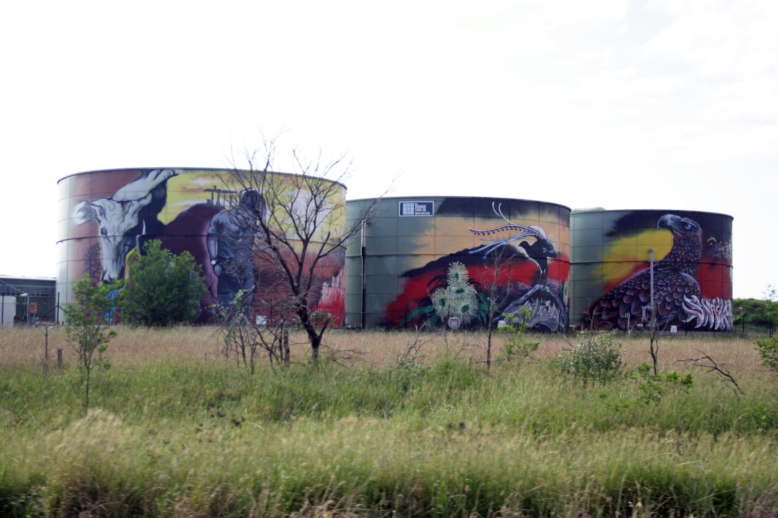 Wilton Water Tank Art by Joe Quilter | Street Art NSW