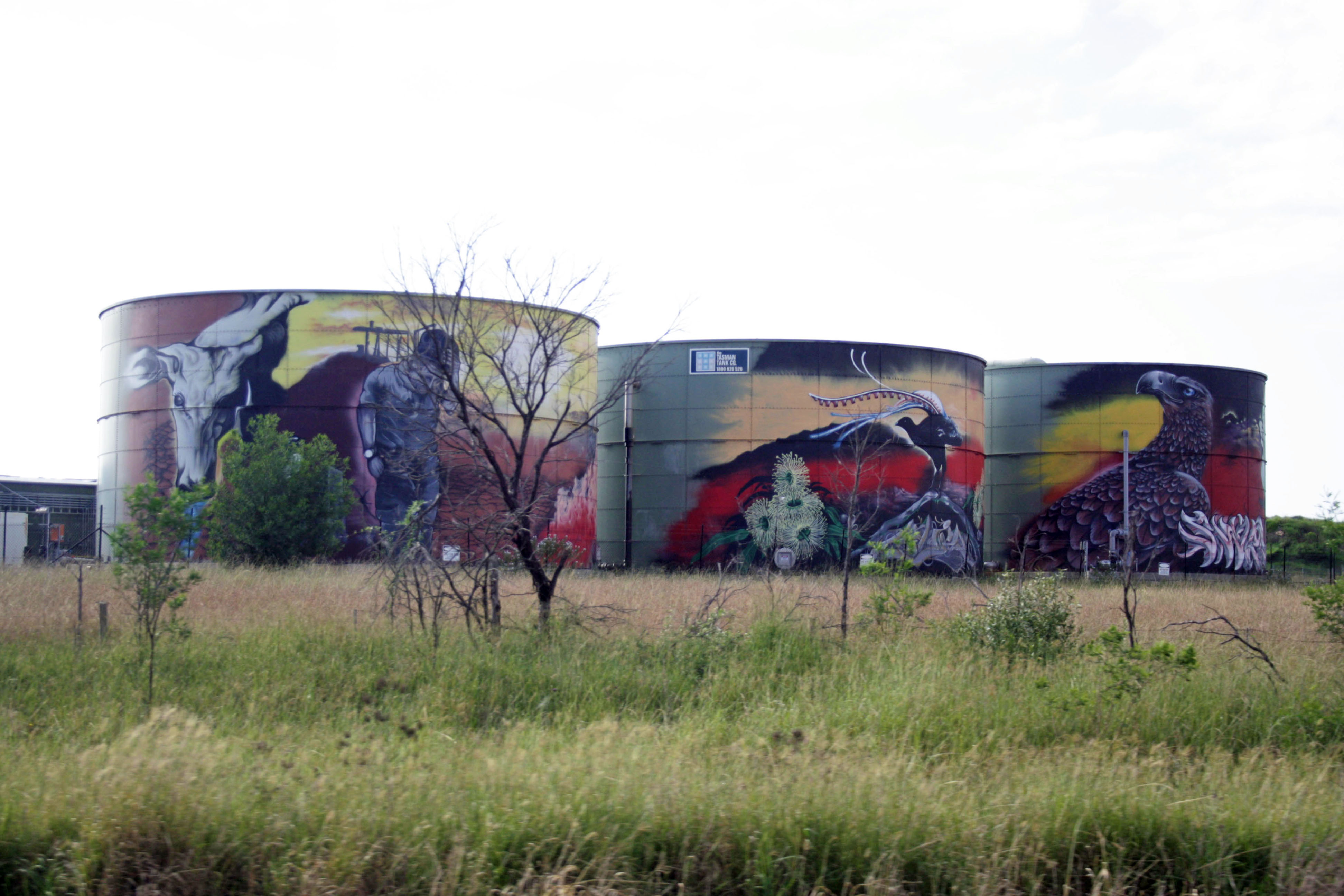 Wilton Water Tank Art