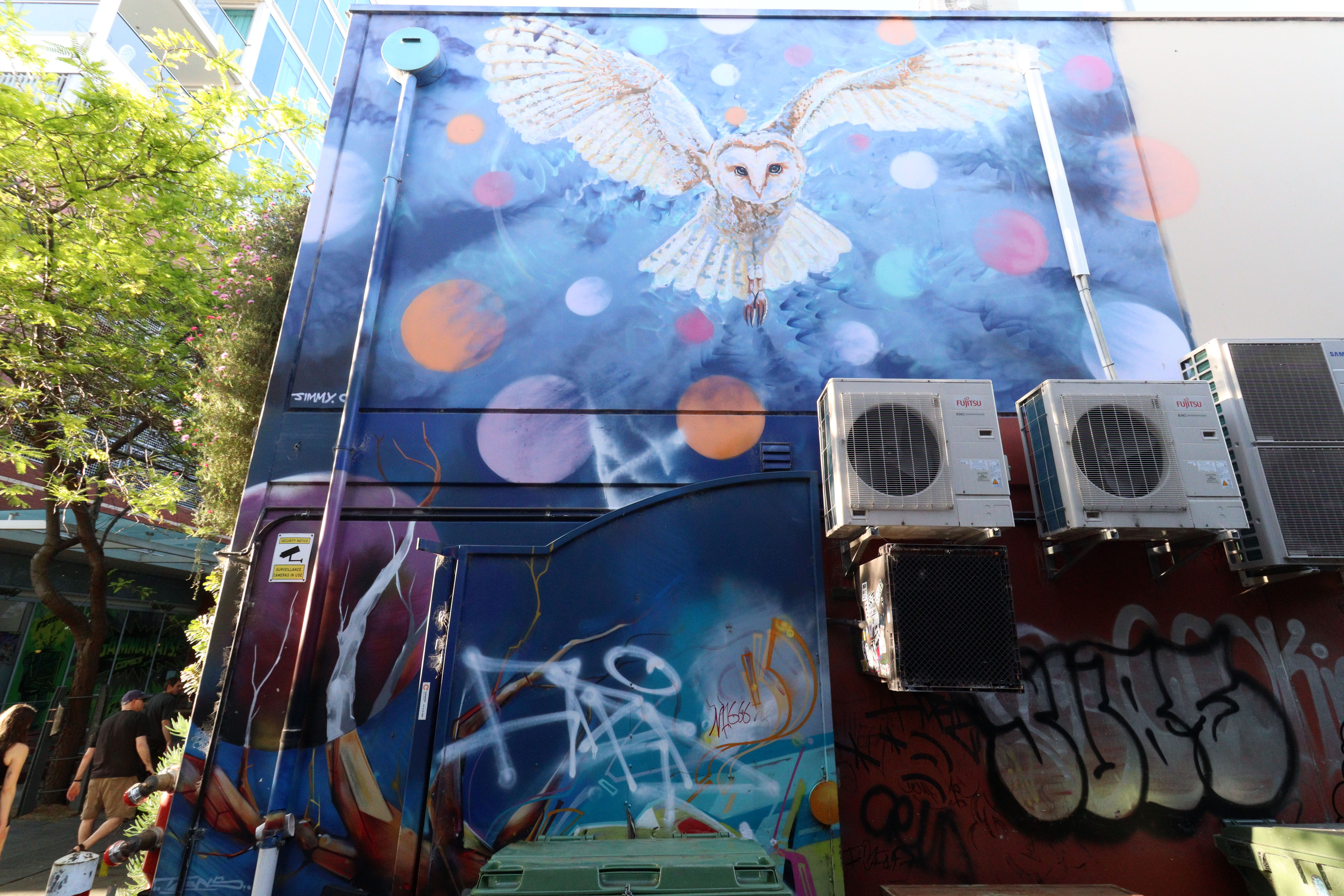 The Howling Owl