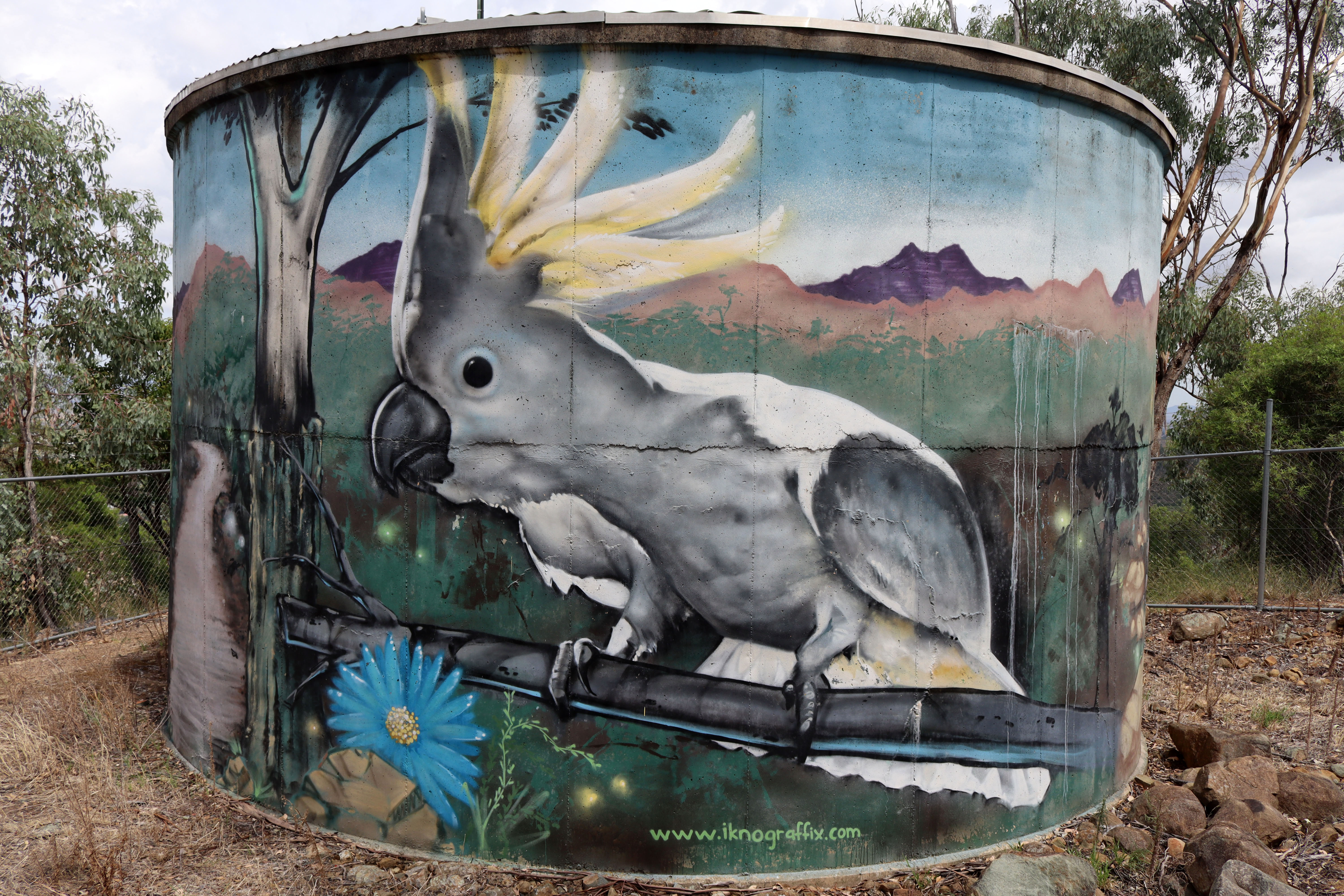 Tamworth Water Tank Art by Iknograffix | Street Art NSW