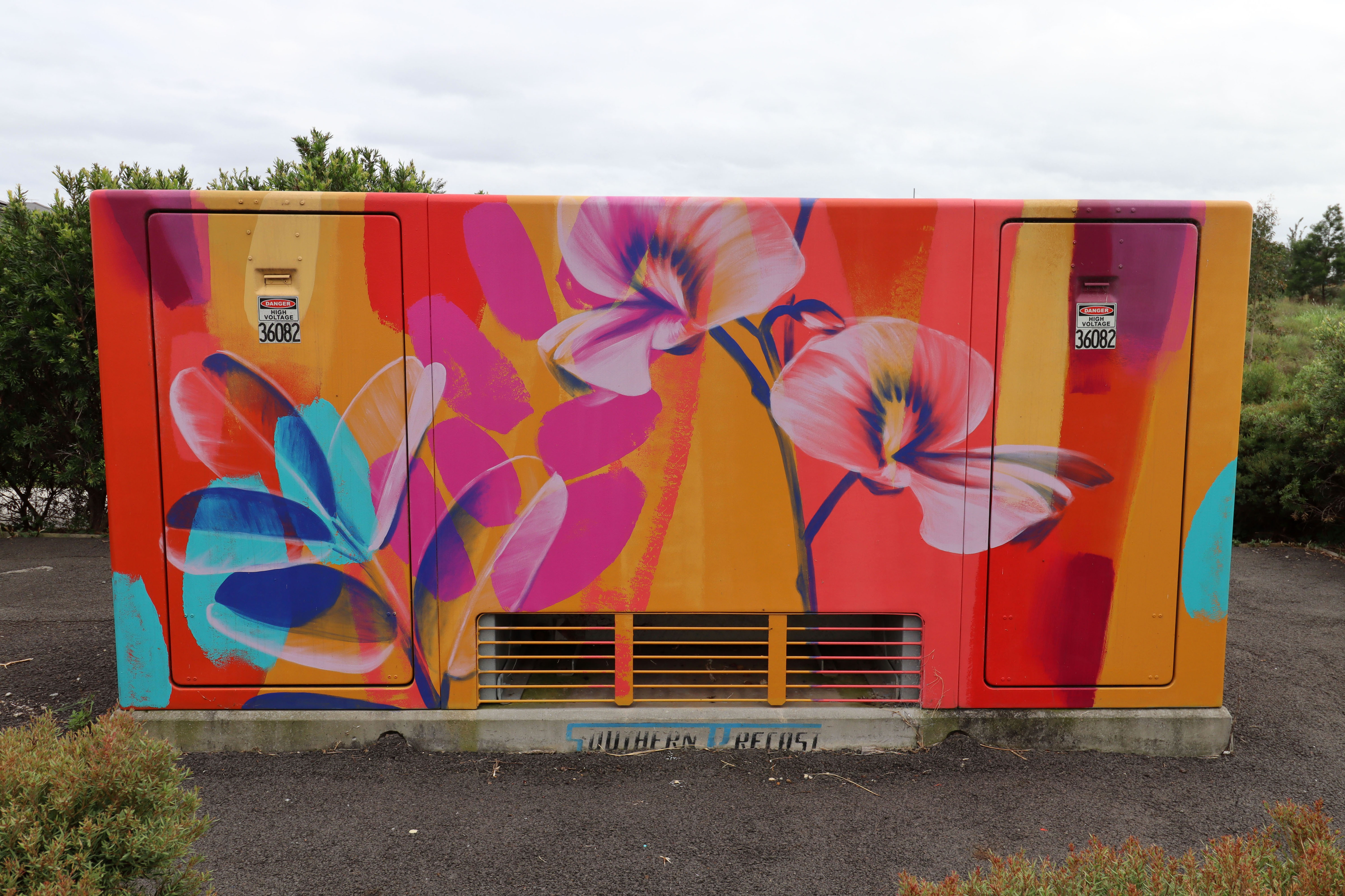 Untitled by Claire Foxton | Street Art NSW