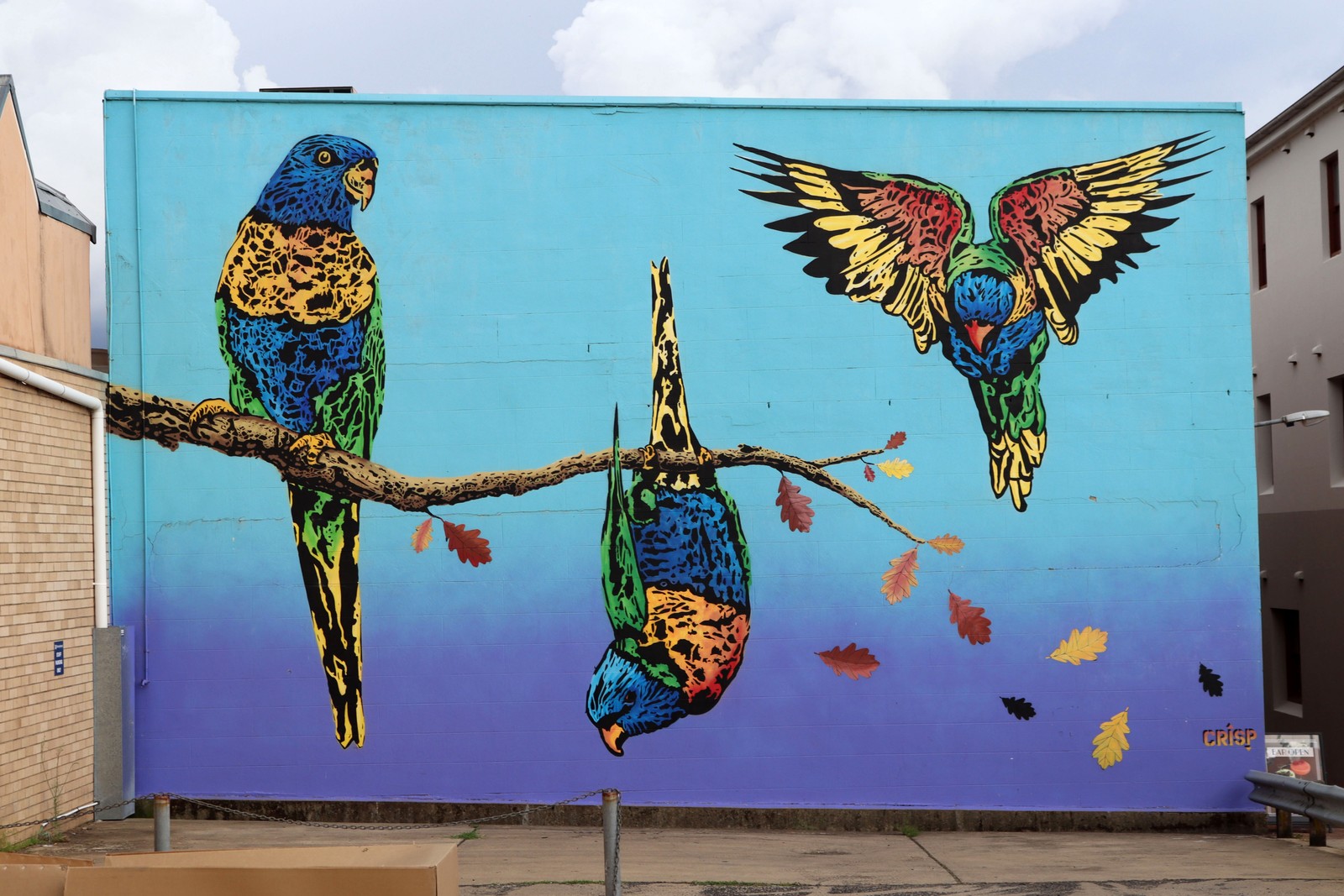 Untitled by Crisp | Street Art NSW