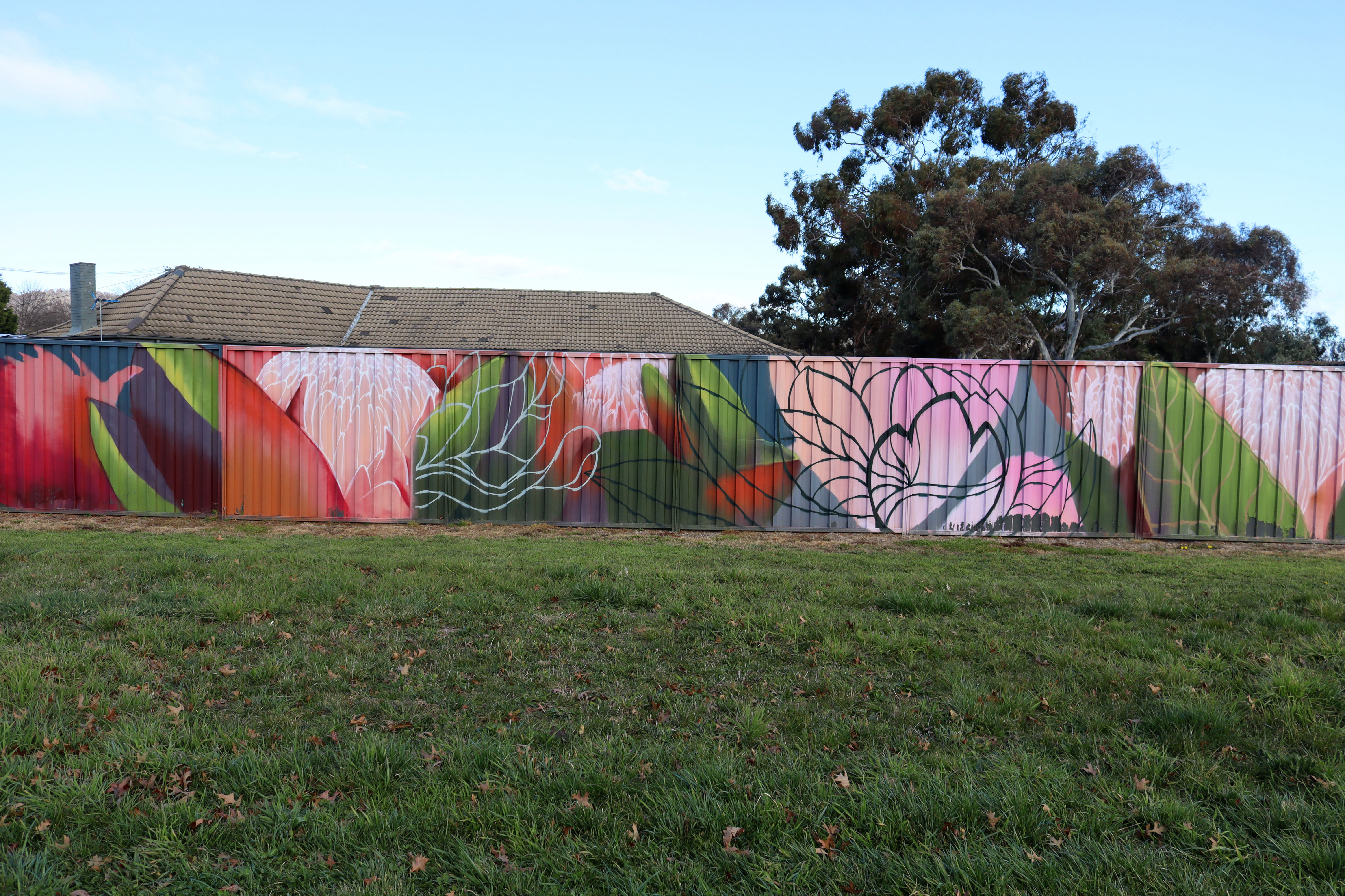 Untitled | Street Art NSW