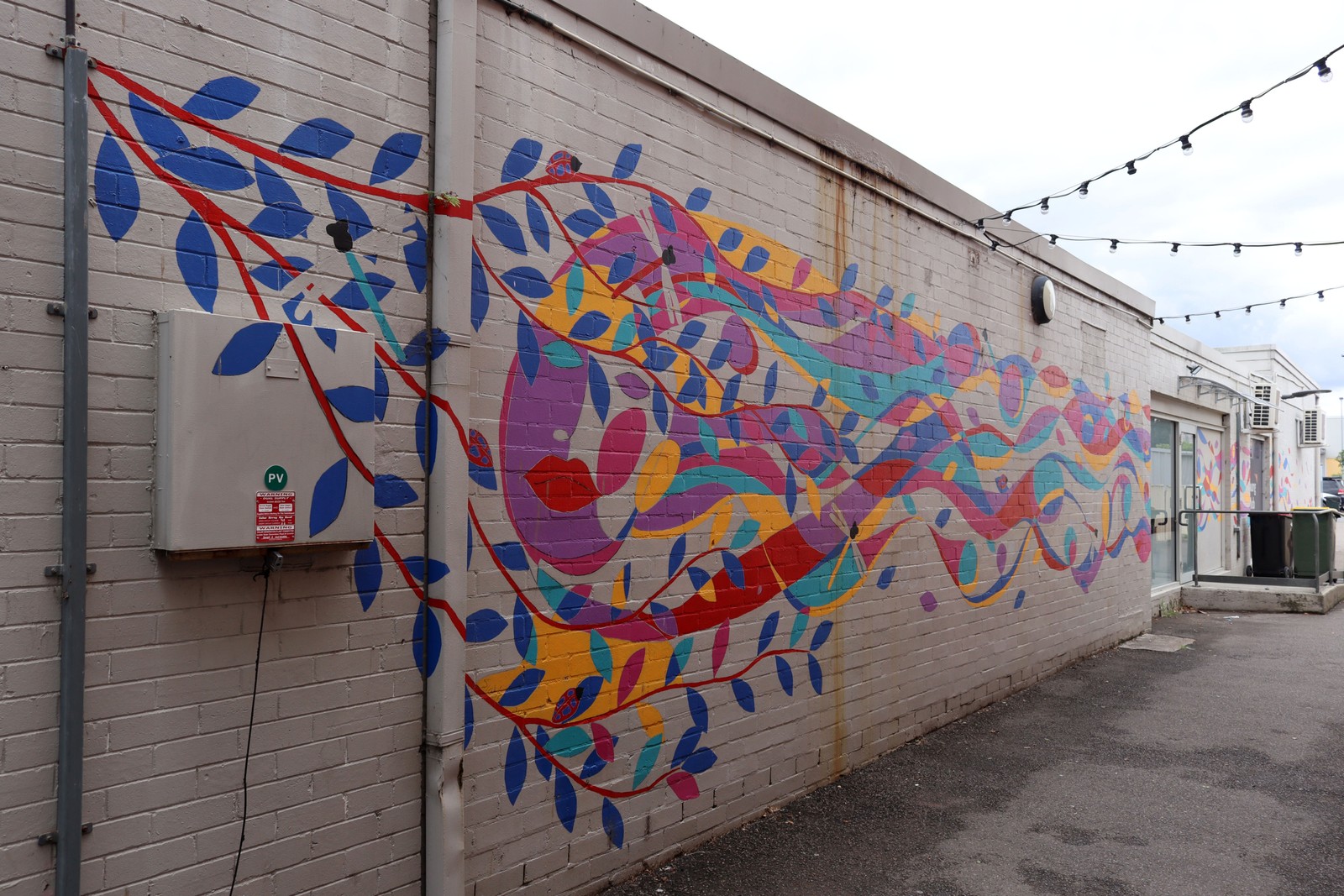 Tre Bella Laneway by Sally Hinchcliffe | Street Art NSW
