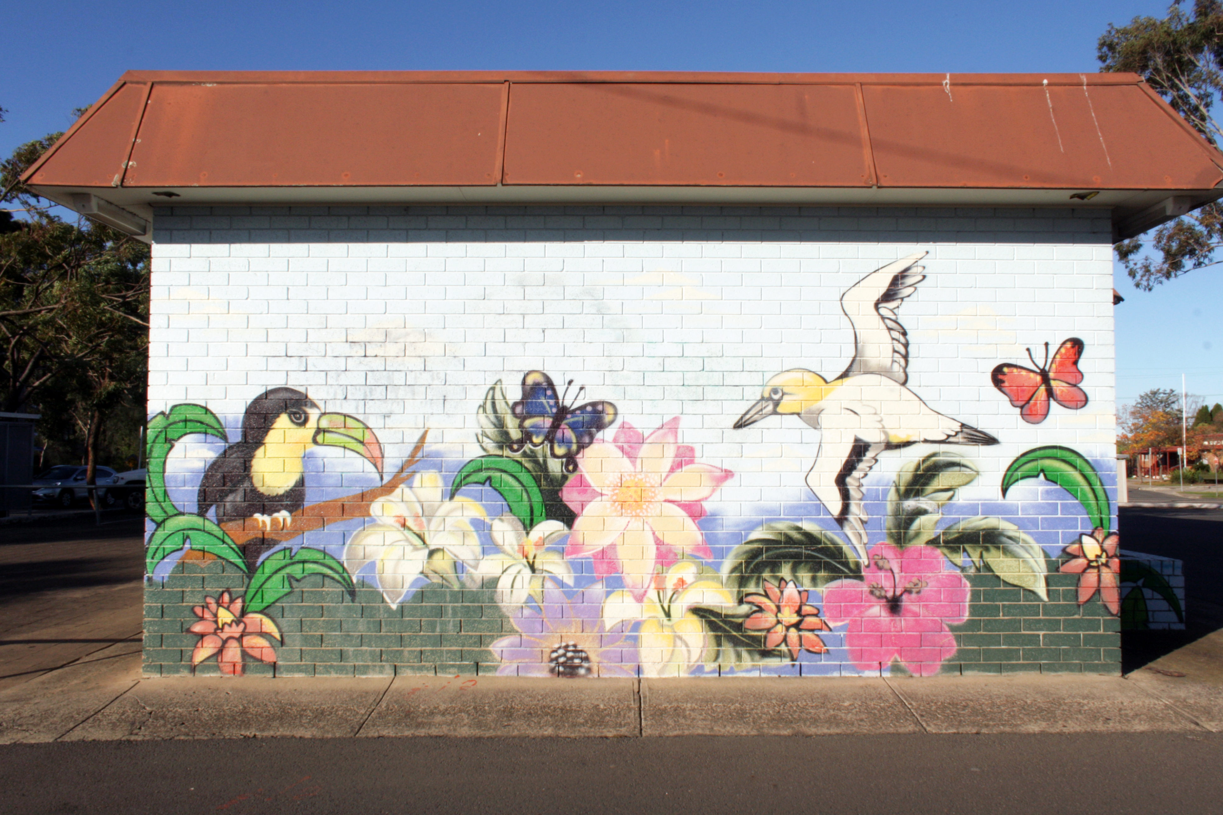Untitled by Spice | Street Art NSW