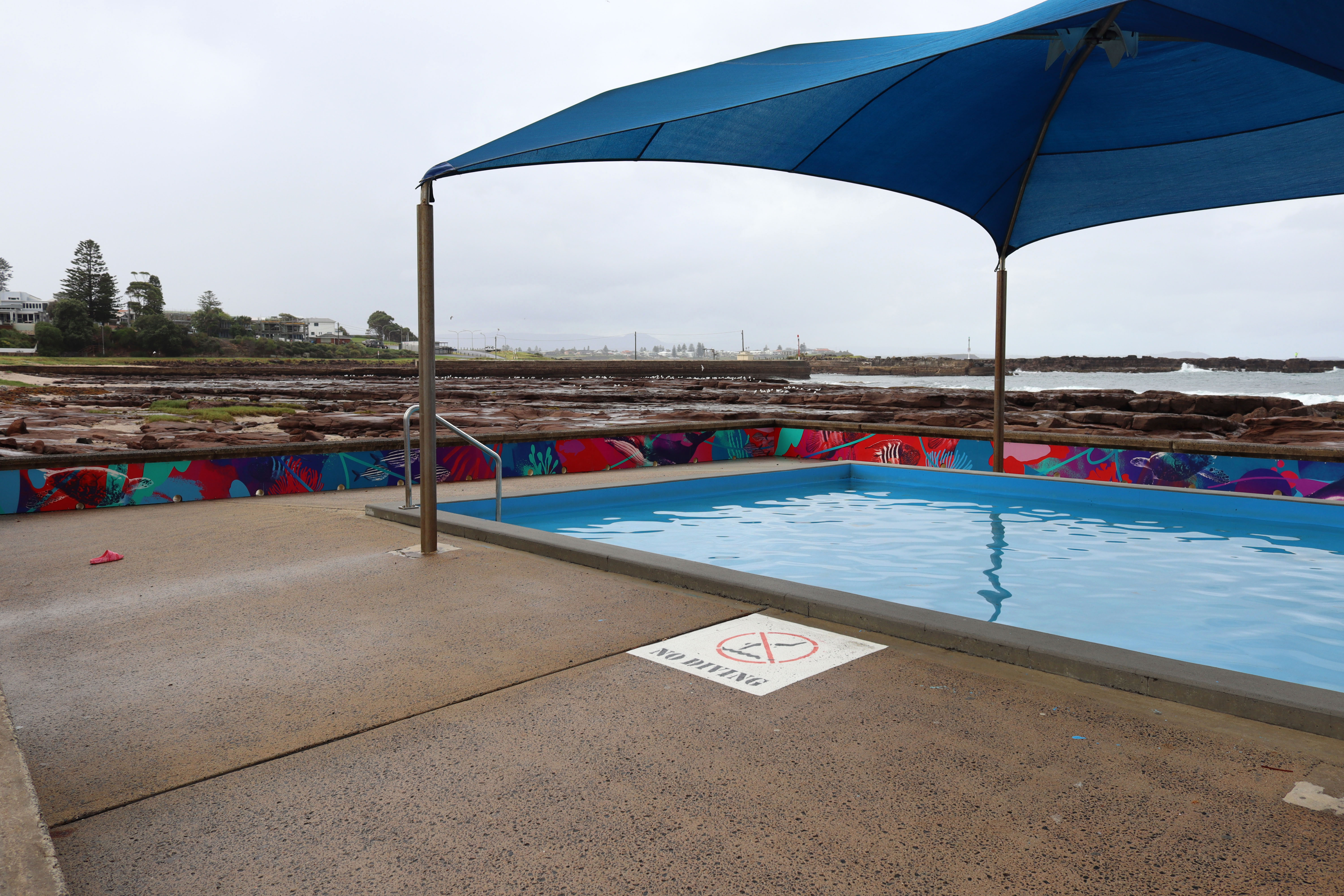 Beverley Whitfield Toddler Pool Mural by Claire Foxton | Street Art NSW