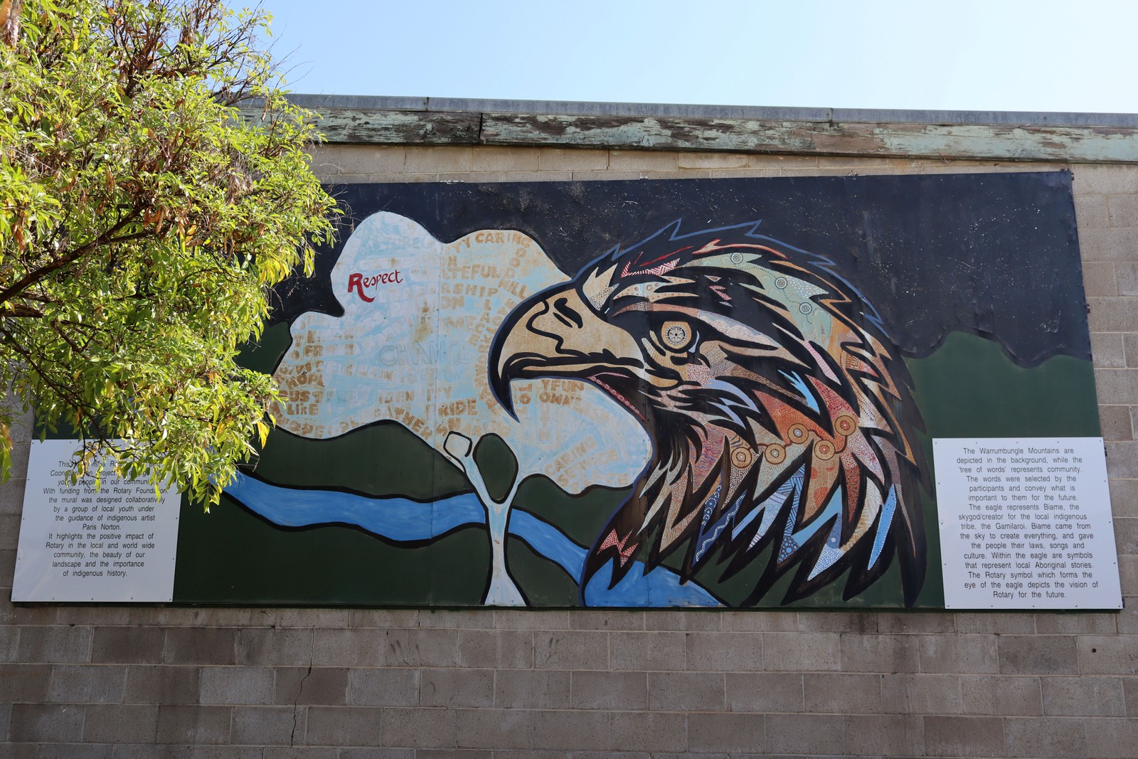 Rotary Mural by Paris Norton | Street Art NSW