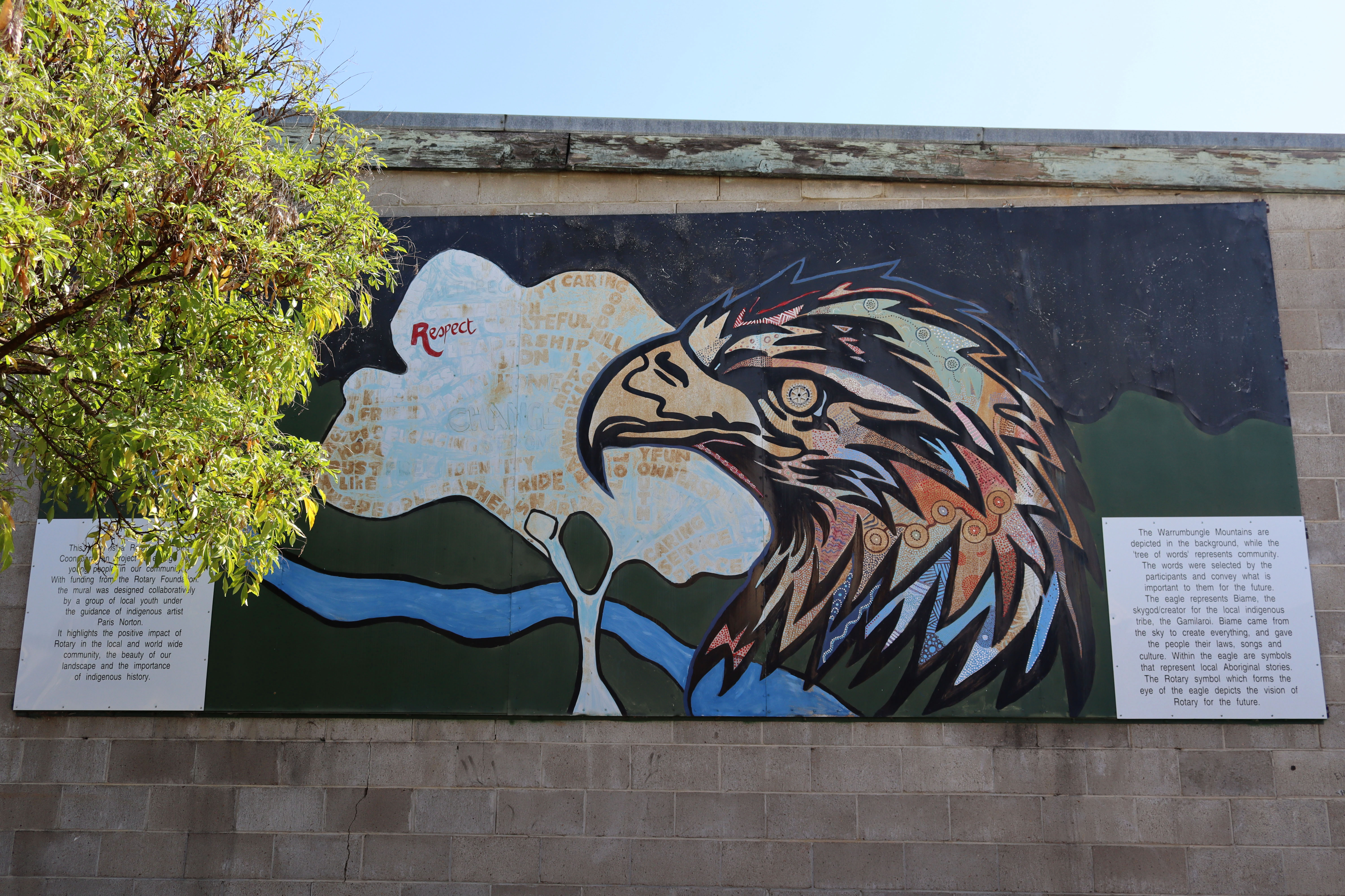 Rotary Mural by Paris Norton | Street Art NSW