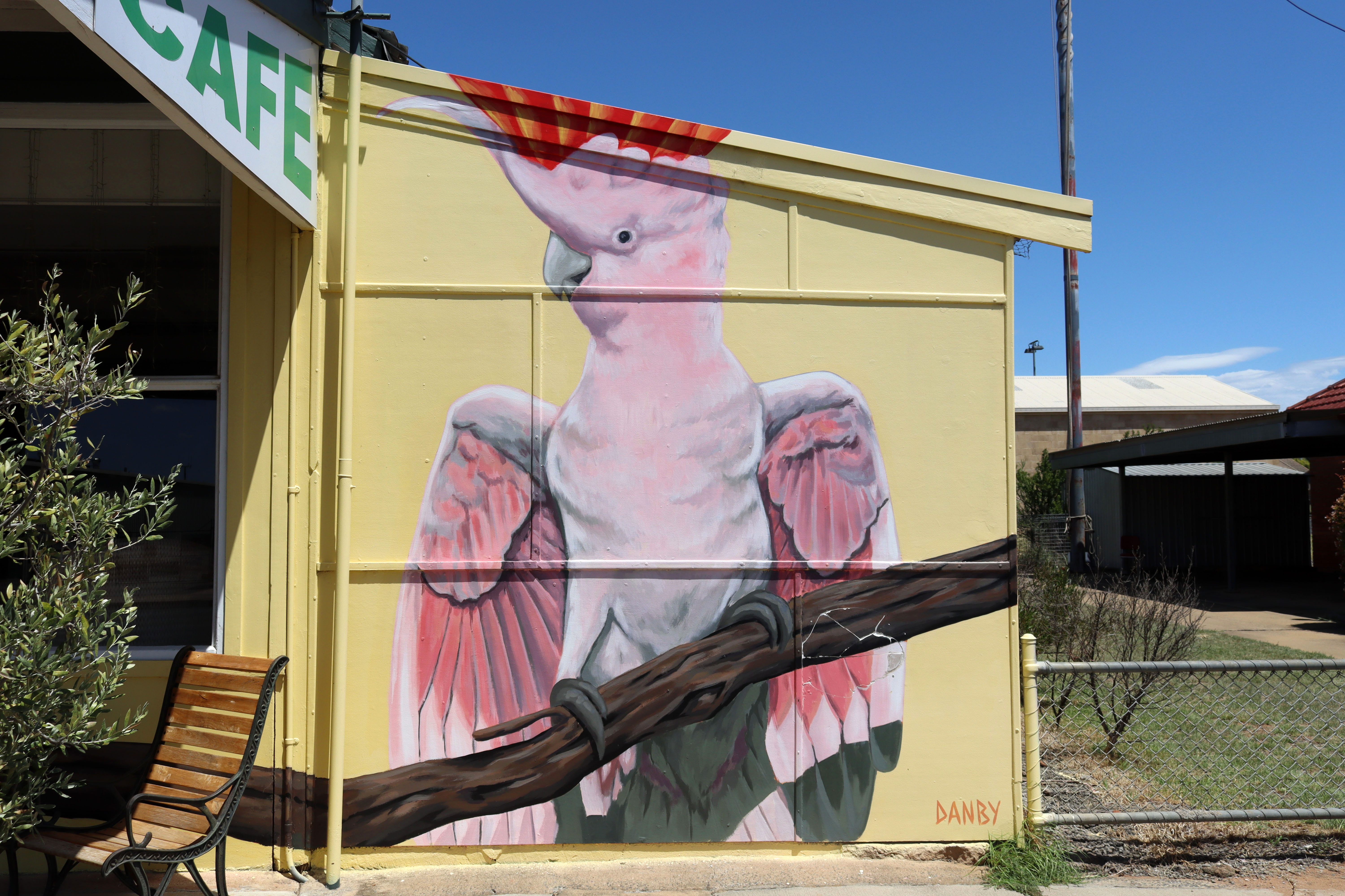 Feathers Café