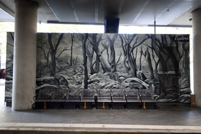 Explore Chatswood's Journey