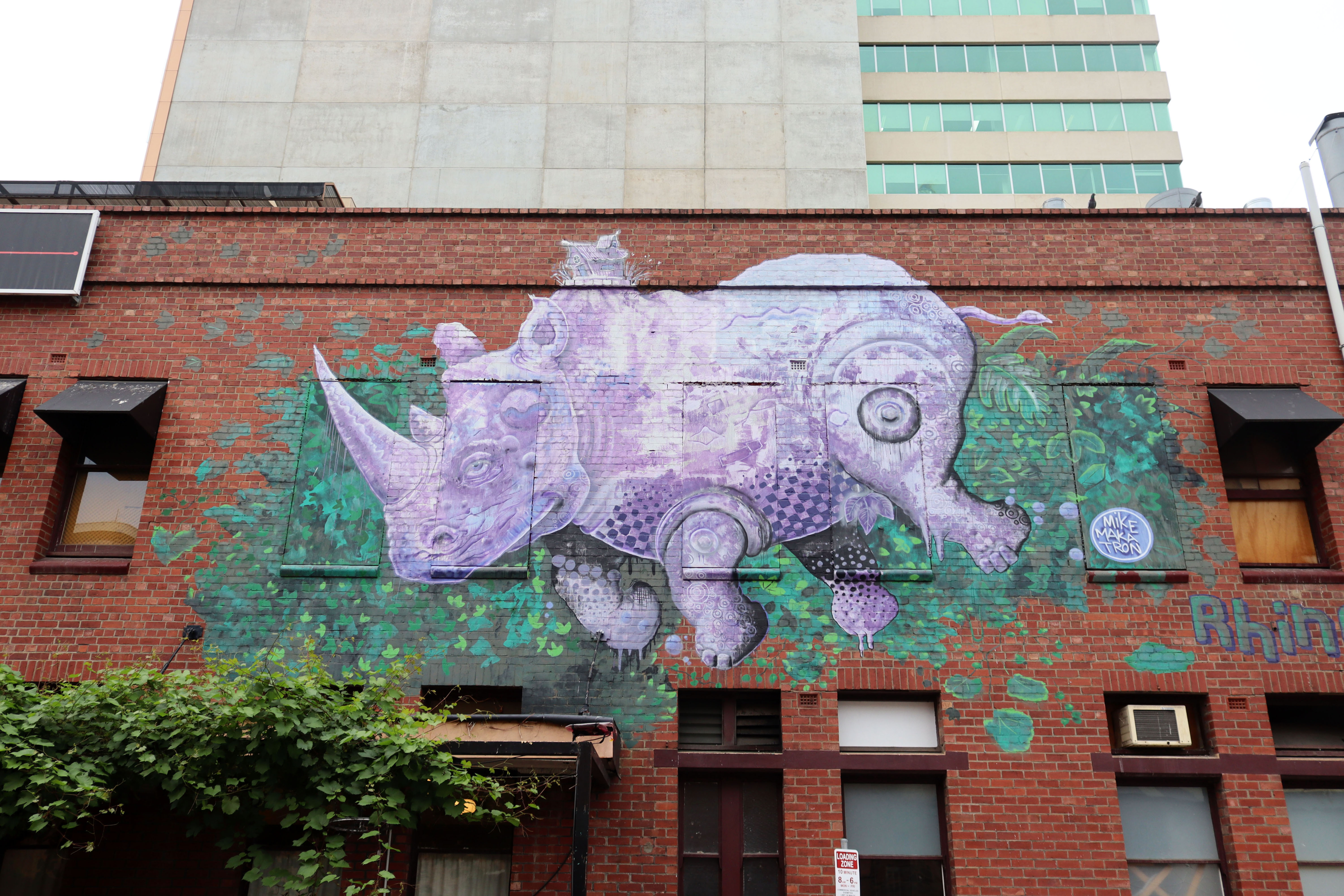 Rhino Room