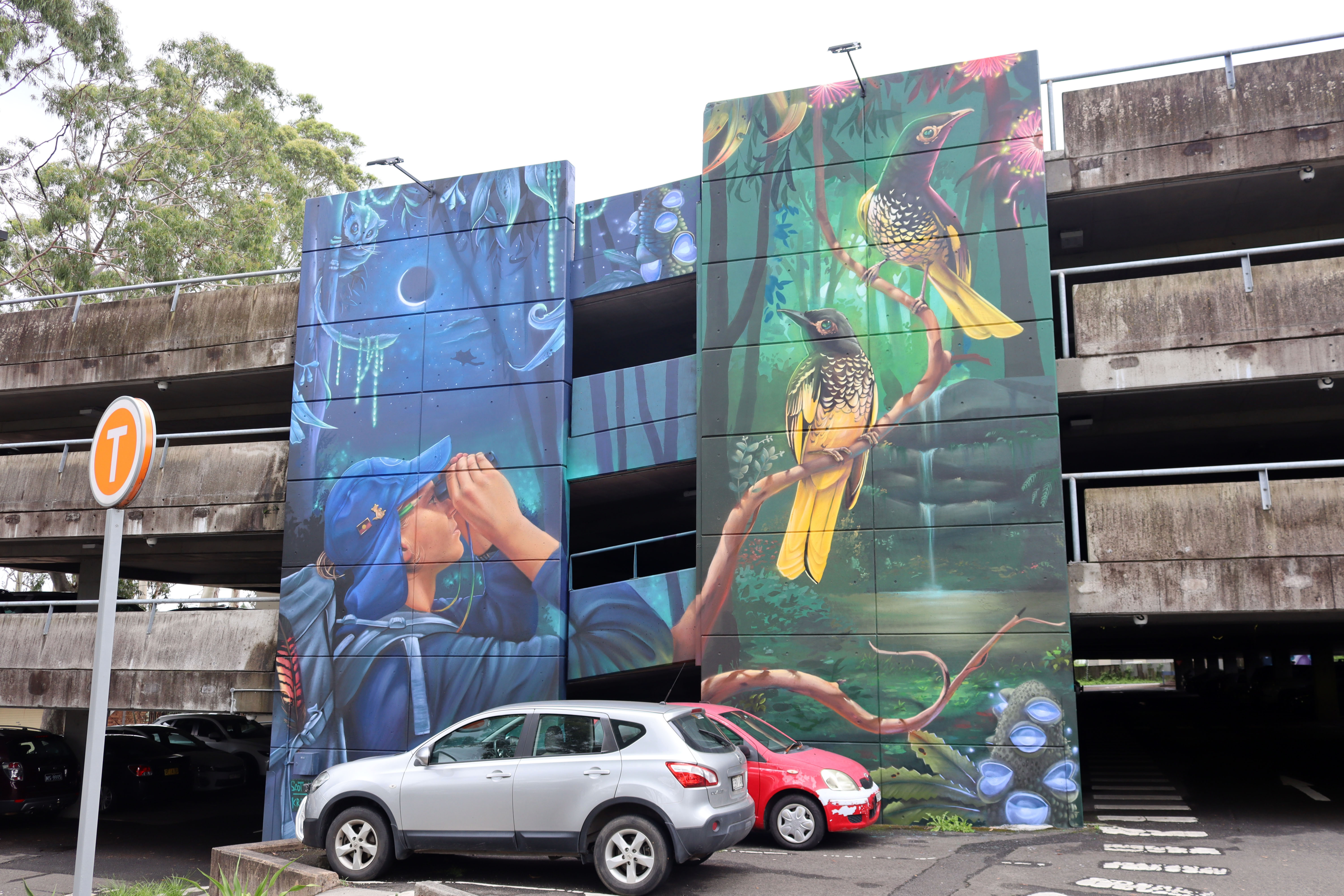 Bird Watcher by Scott Nagy | Street Art NSW