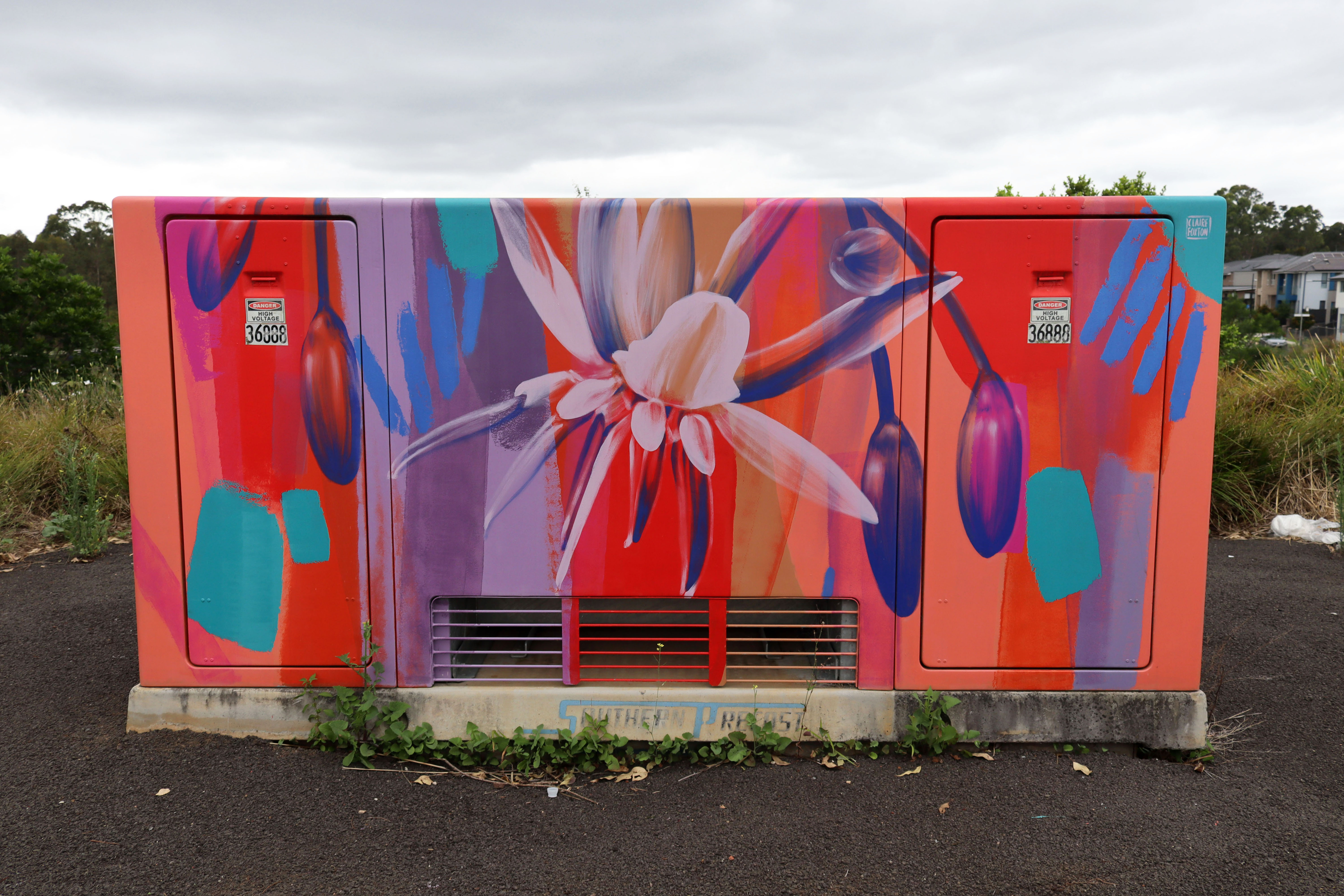Untitled by Claire Foxton | Street Art NSW