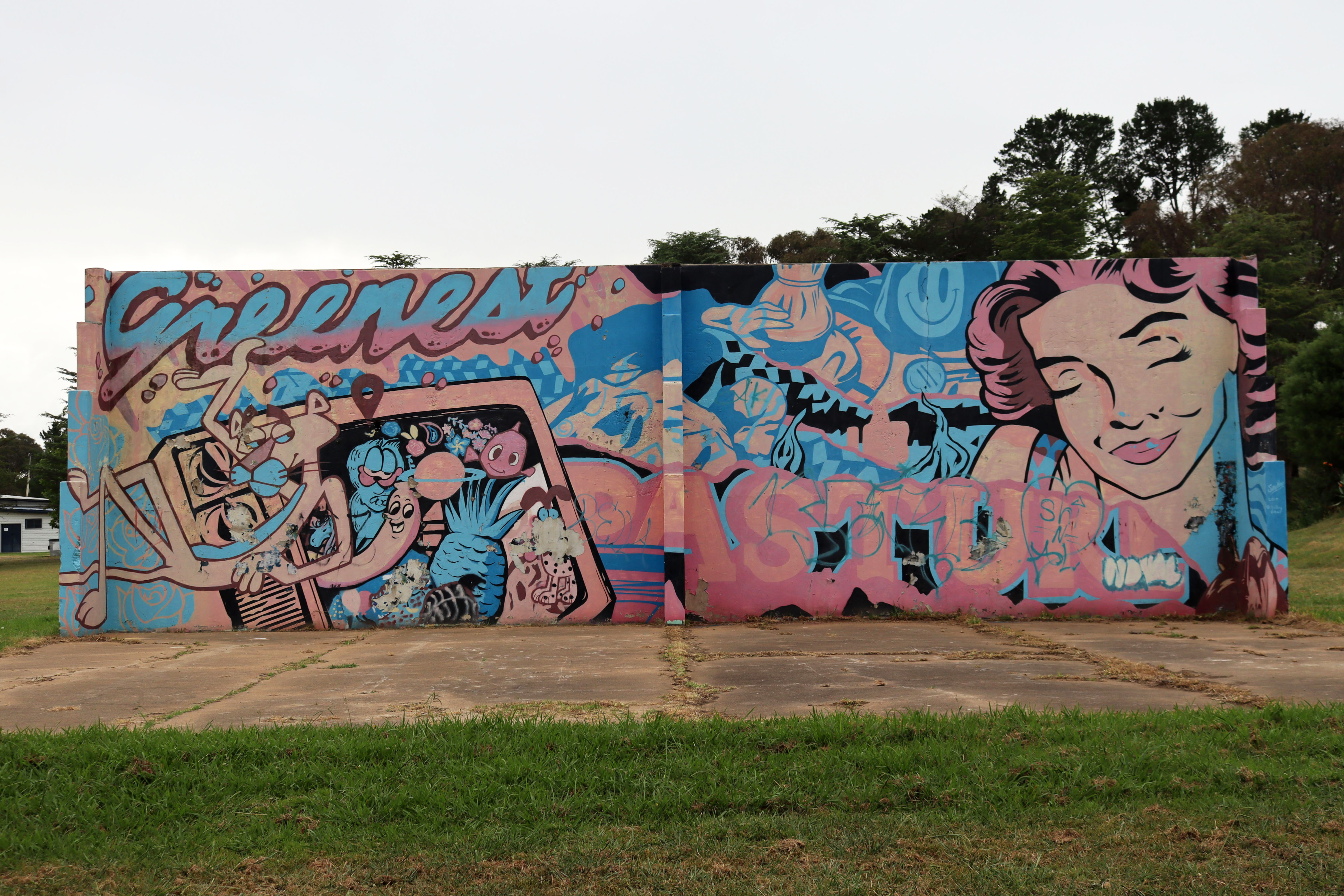 Greenest Pasture by Silly Pear | Street Art NSW