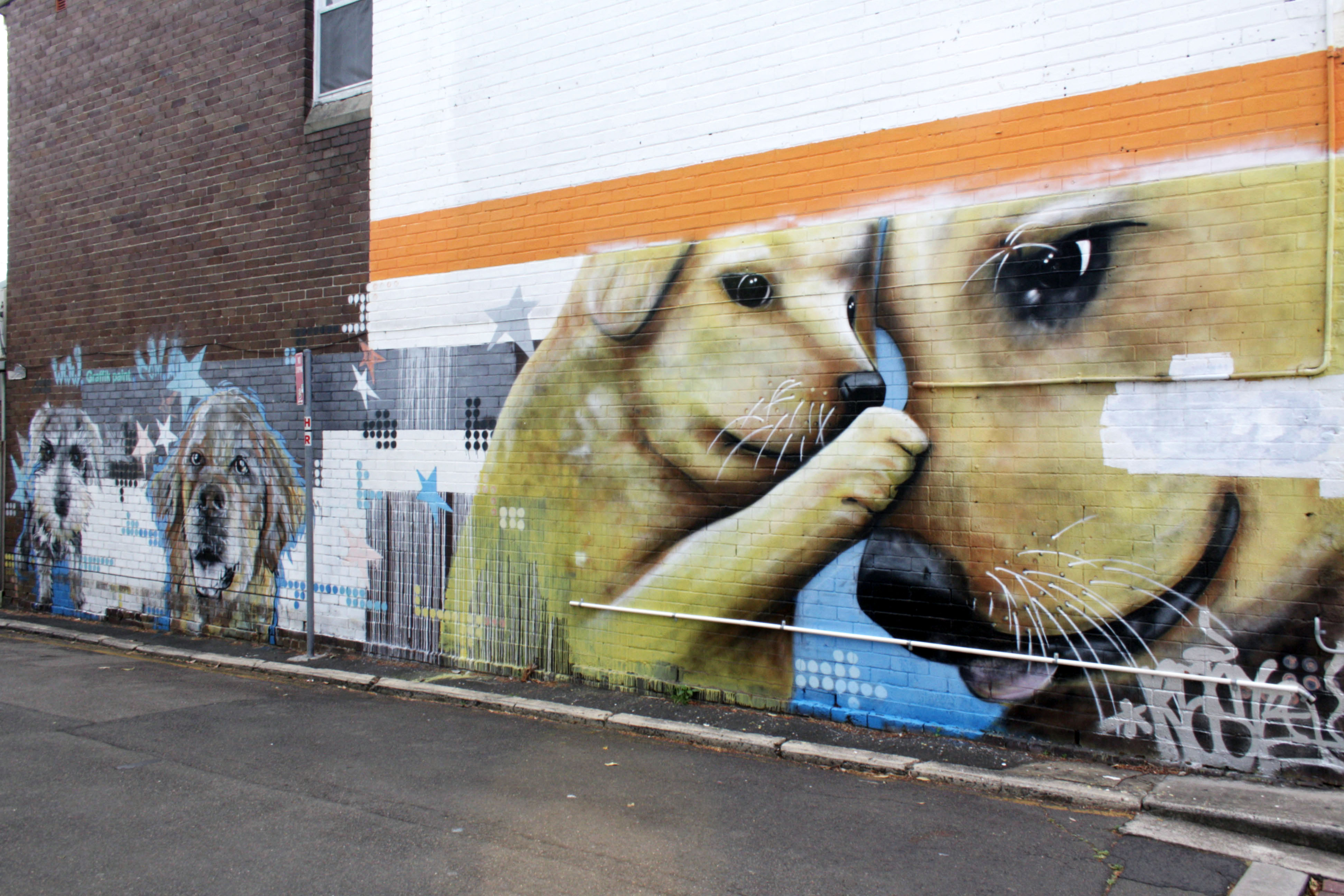 Untitled by GraffikPaint | Street Art NSW