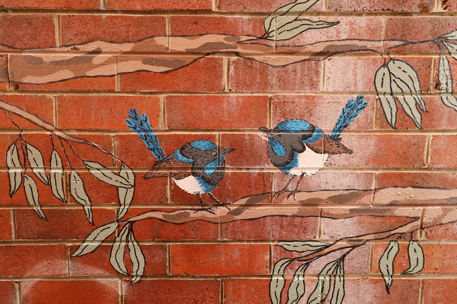 Little Fairy Wrens by E.Rose Art | Street Art NSW