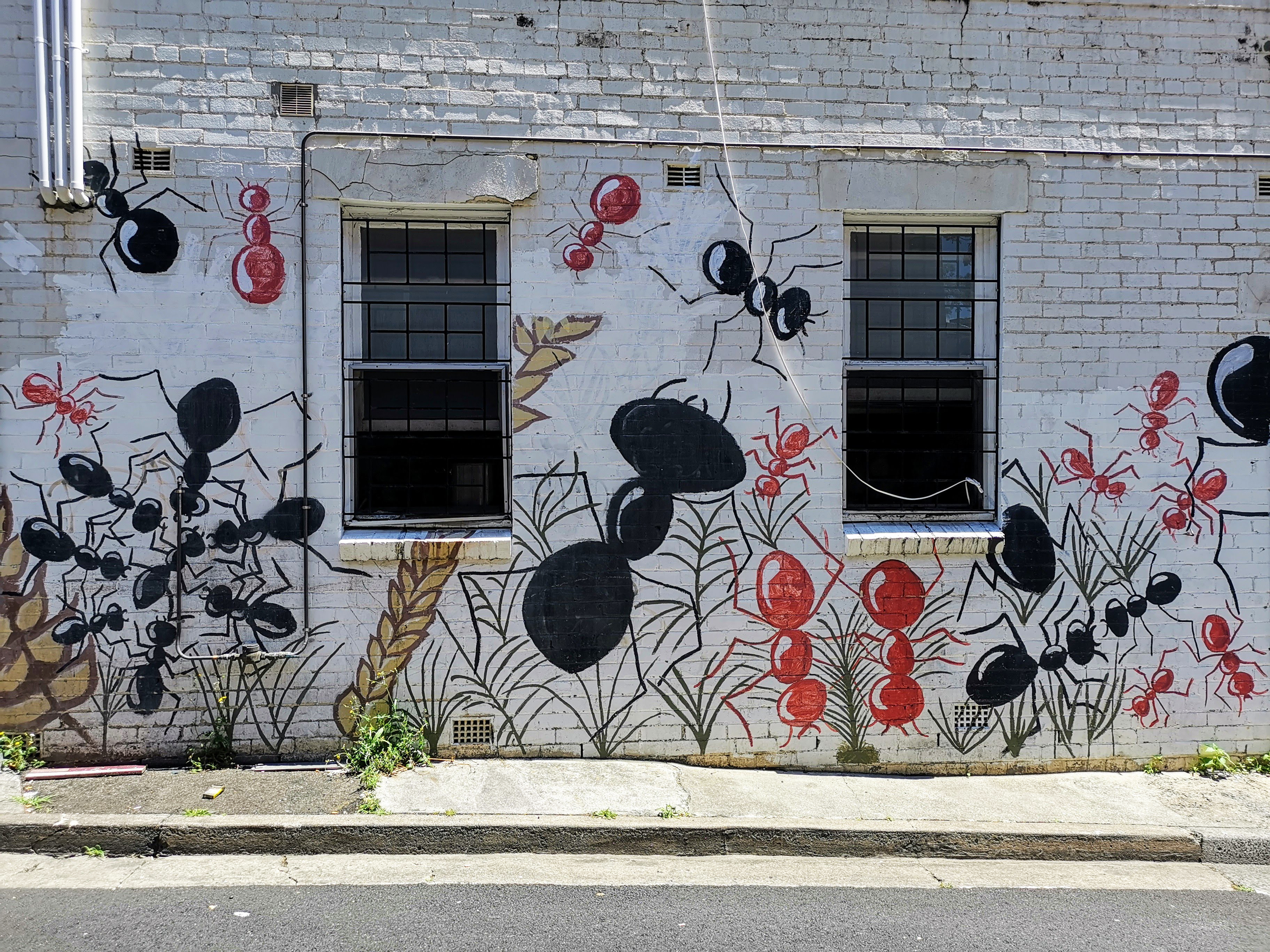 Ants | Street Art NSW