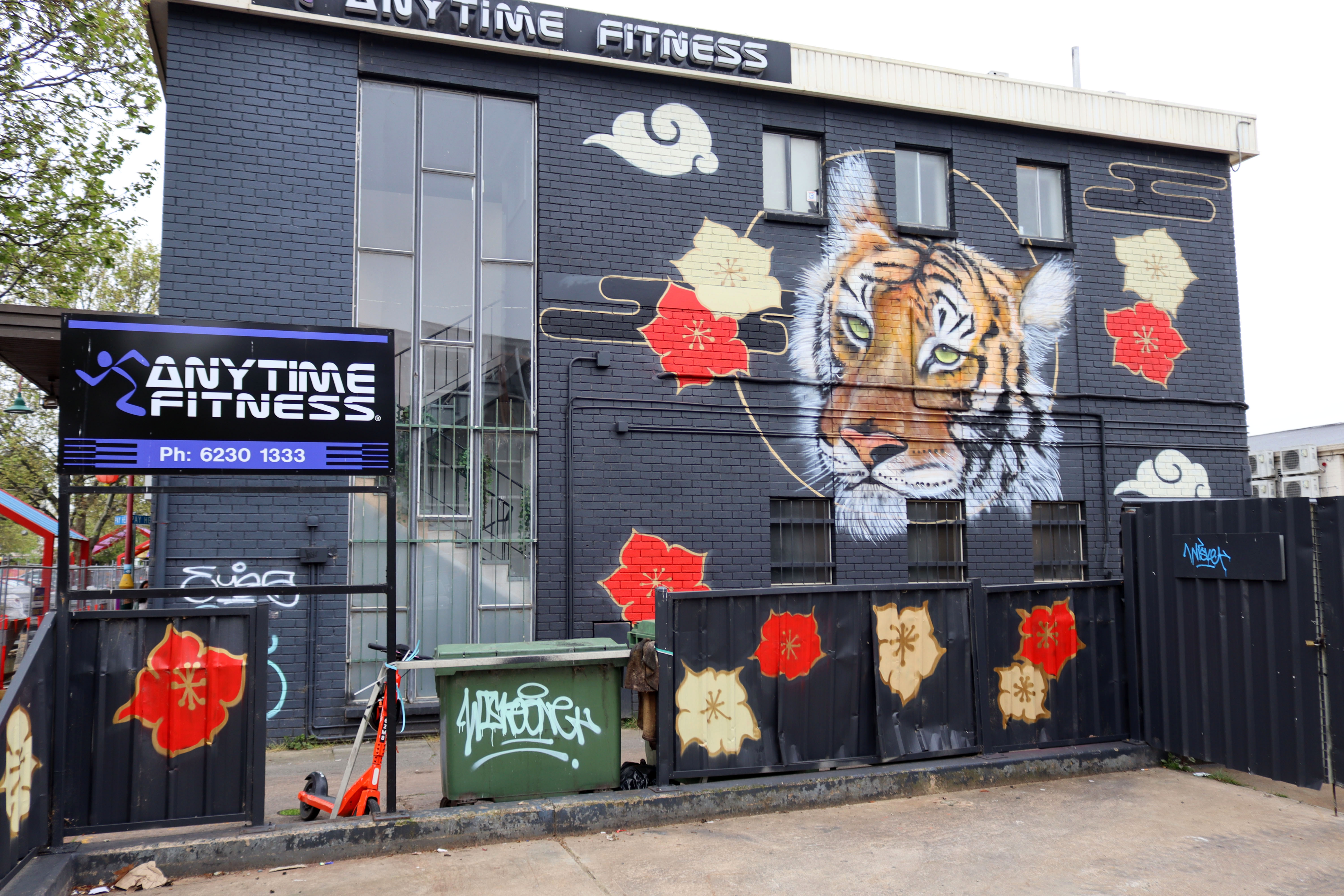 Year of the Tiger
