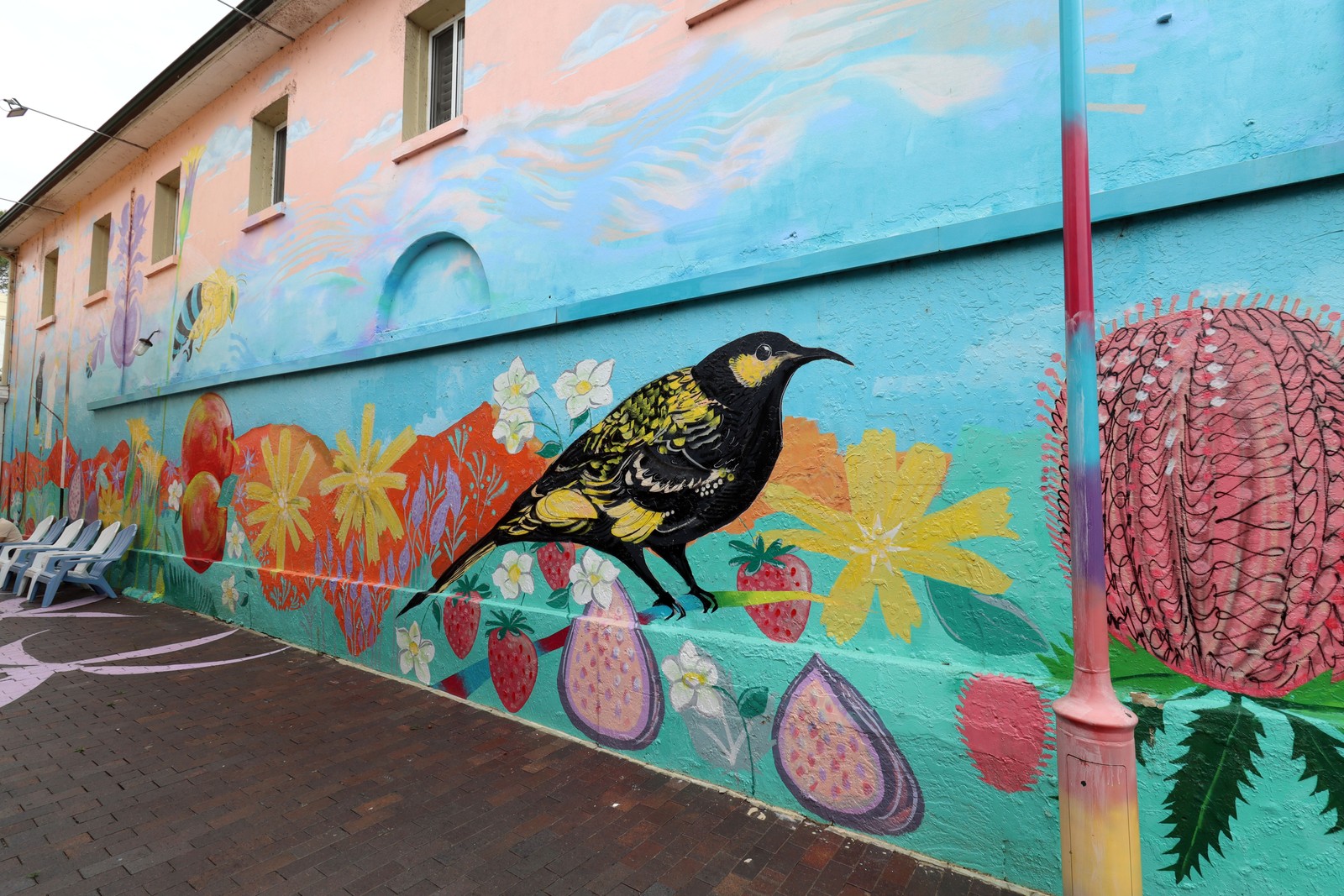 Cornucopia by David Cragg | Street Art NSW
