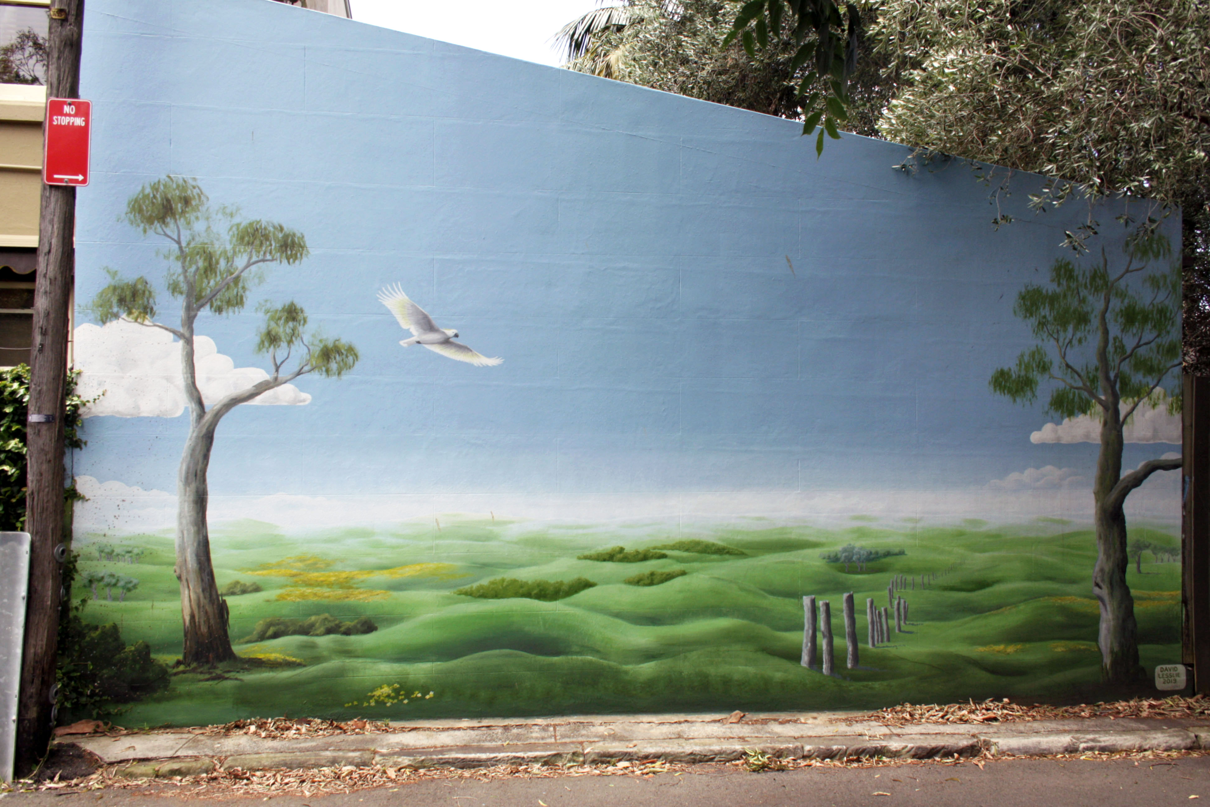 Untitled by David Lesslie | Street Art NSW
