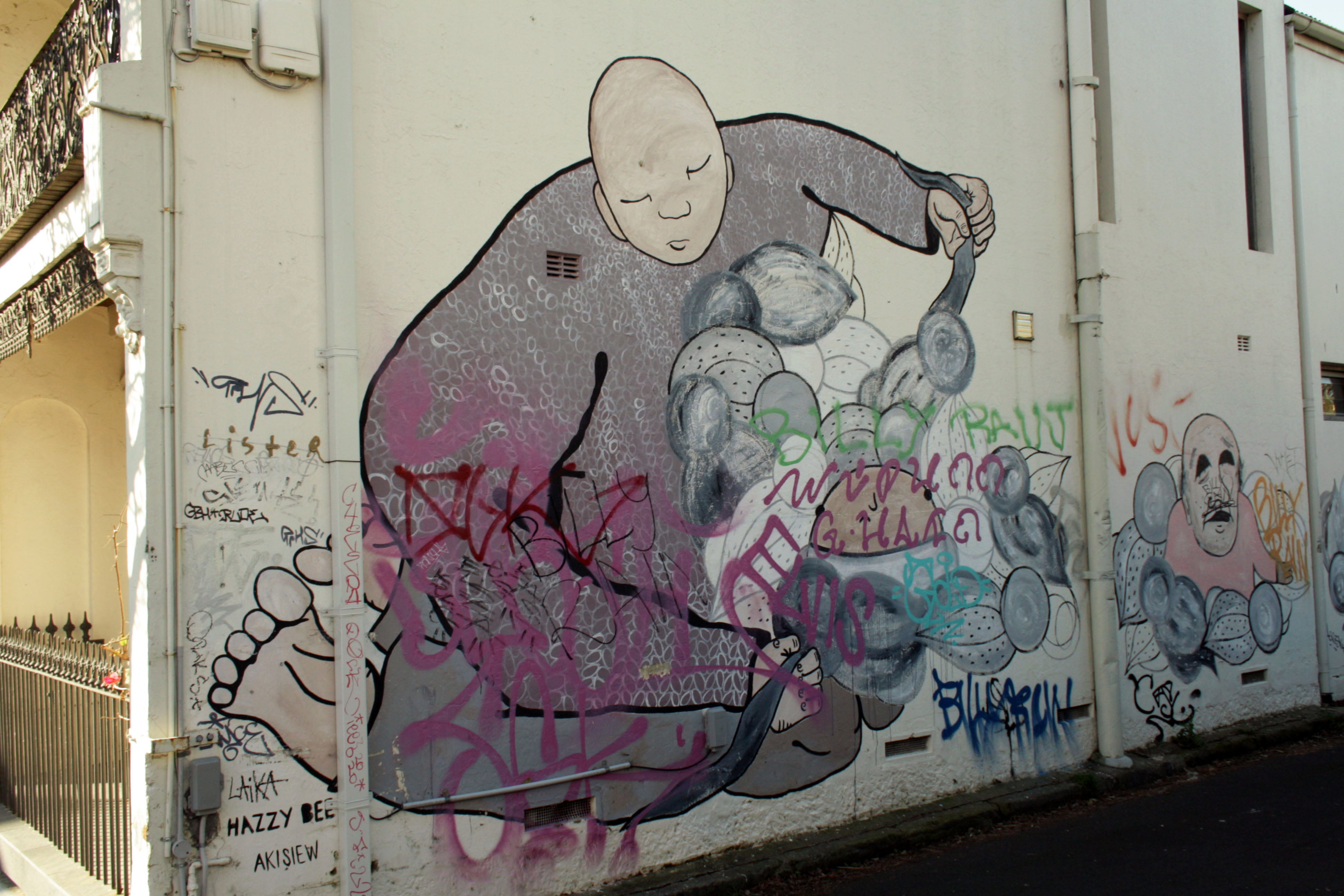 Untitled by Hazzybee | Street Art NSW