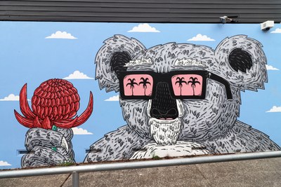 Waratah Wazza the Koala