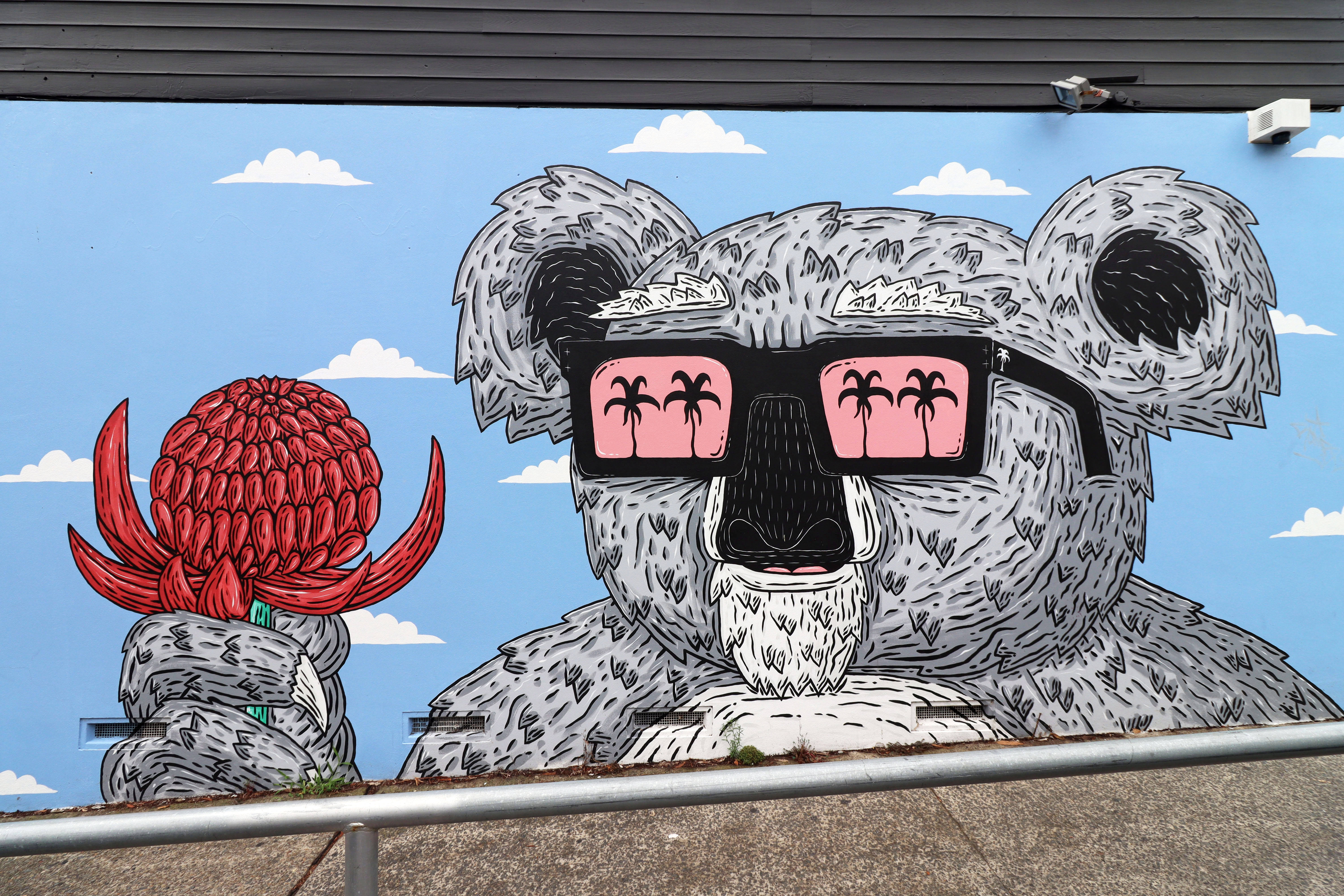Waratah Wazza the Koala