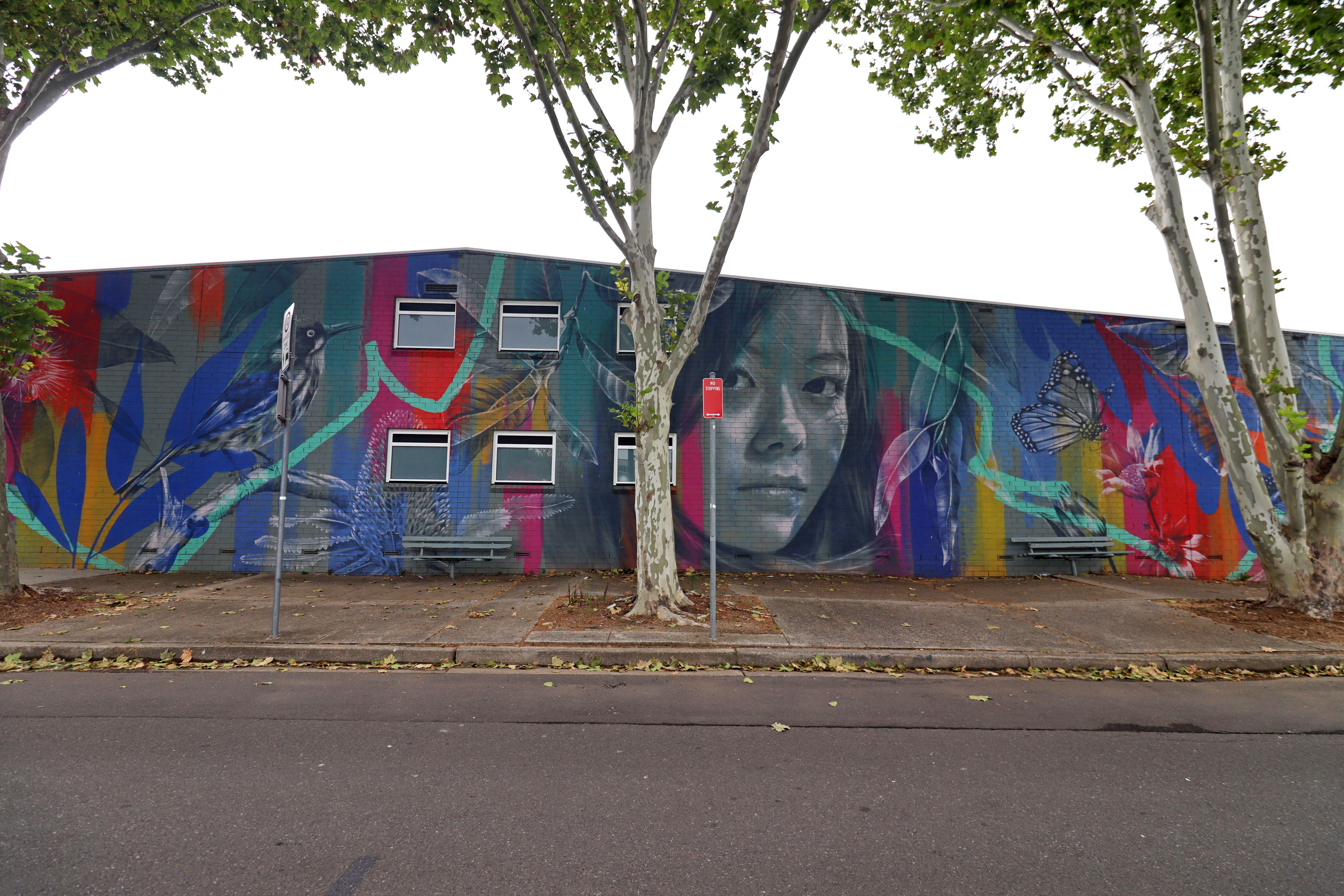 Untitled by Claire Foxton | Street Art NSW