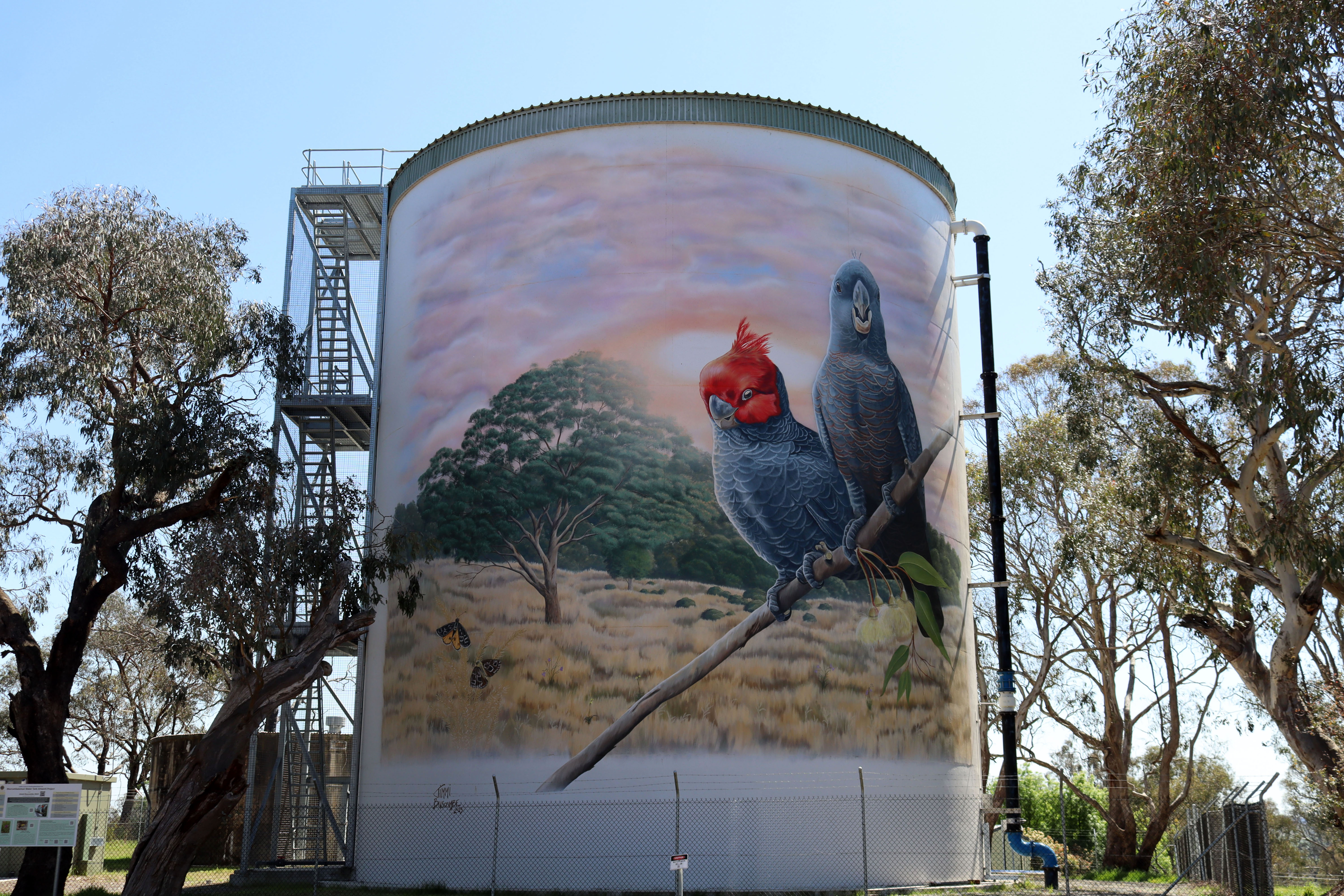 Murrumbateman Water Tank by Jimmi Buscombe | Street Art NSW