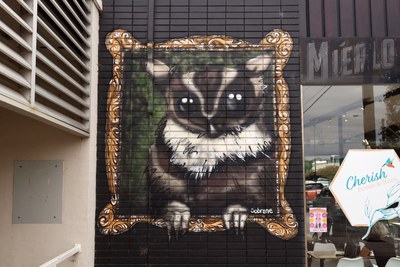Sugar Glider