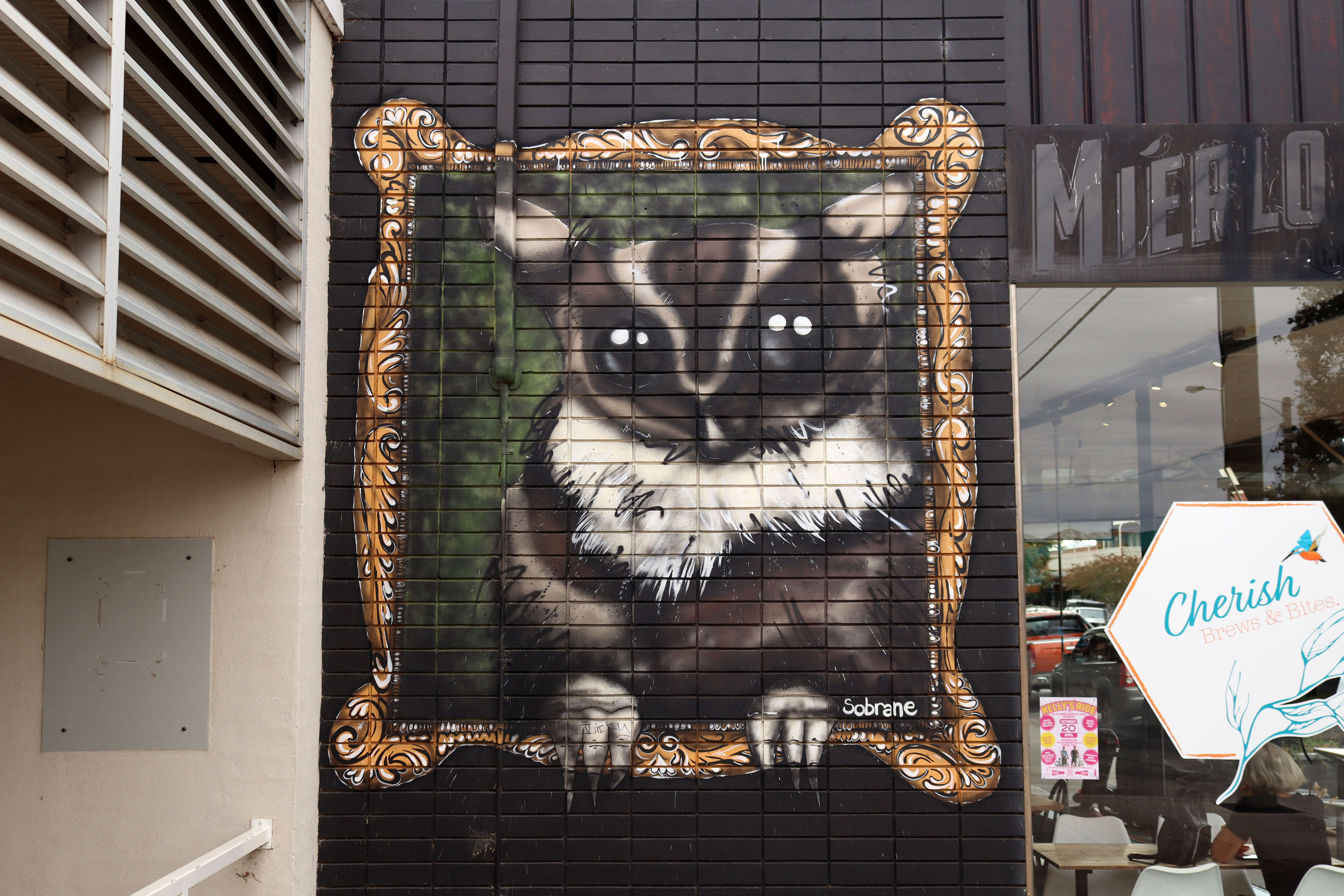 Sugar Glider