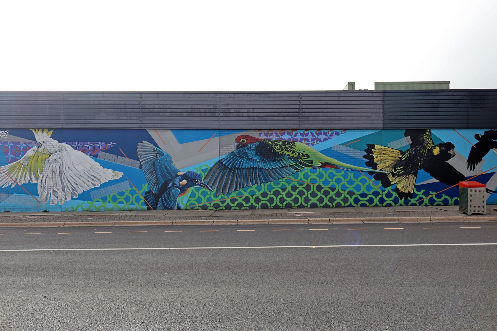 Australian Native Birds by Stylized Impact | Street Art NSW