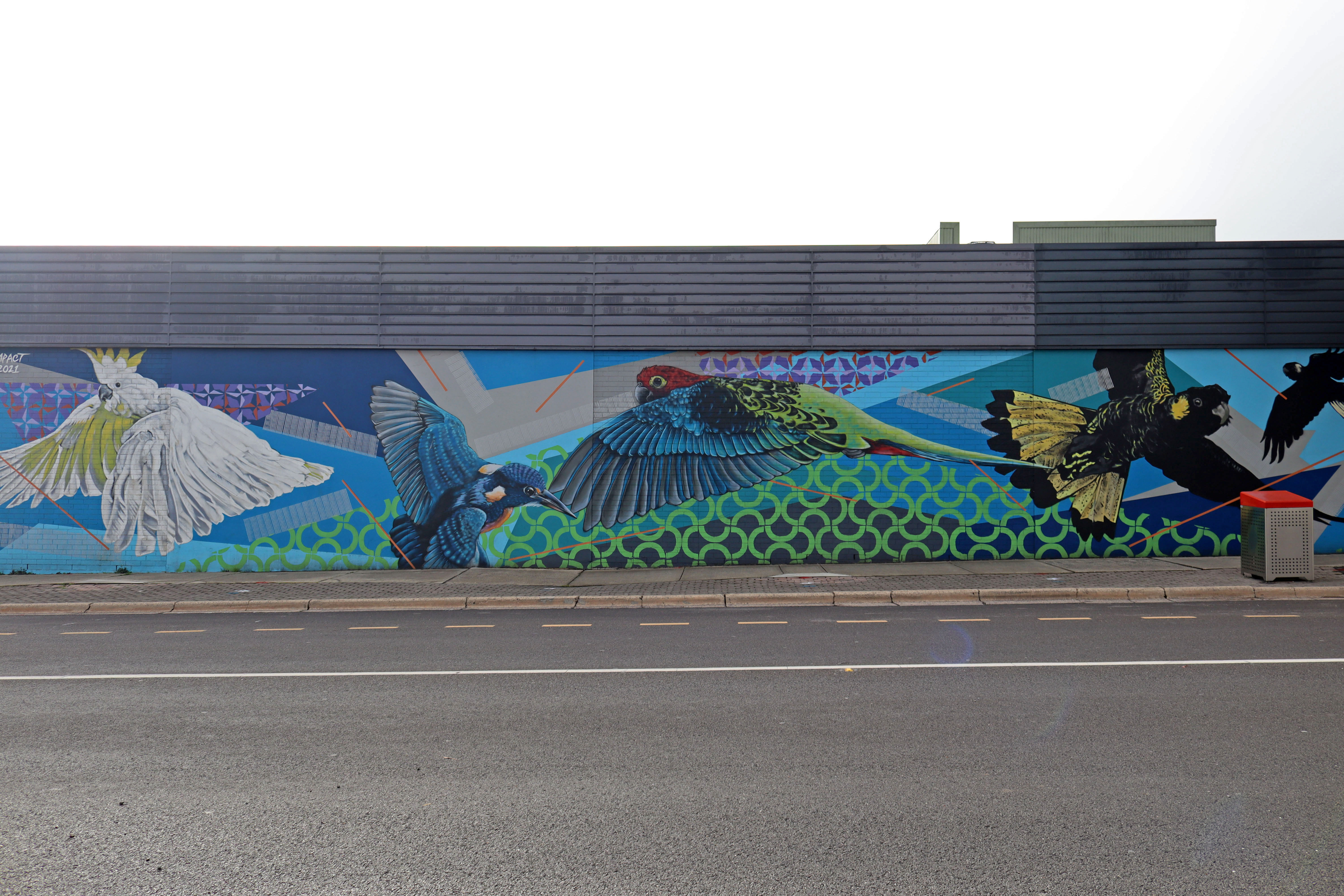 Australian Native Birds by Stylized Impact | Street Art NSW