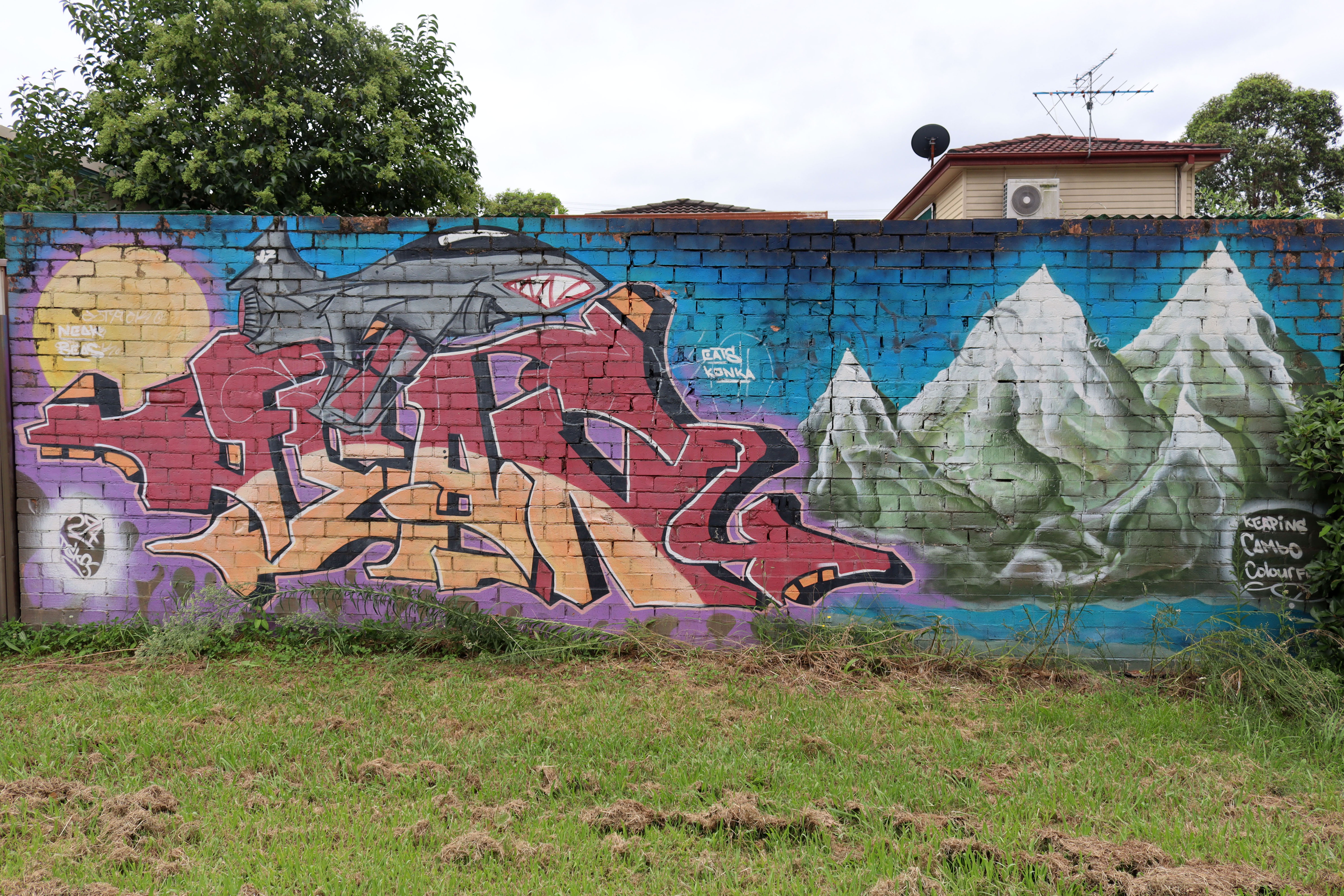 Untitled | Street Art NSW