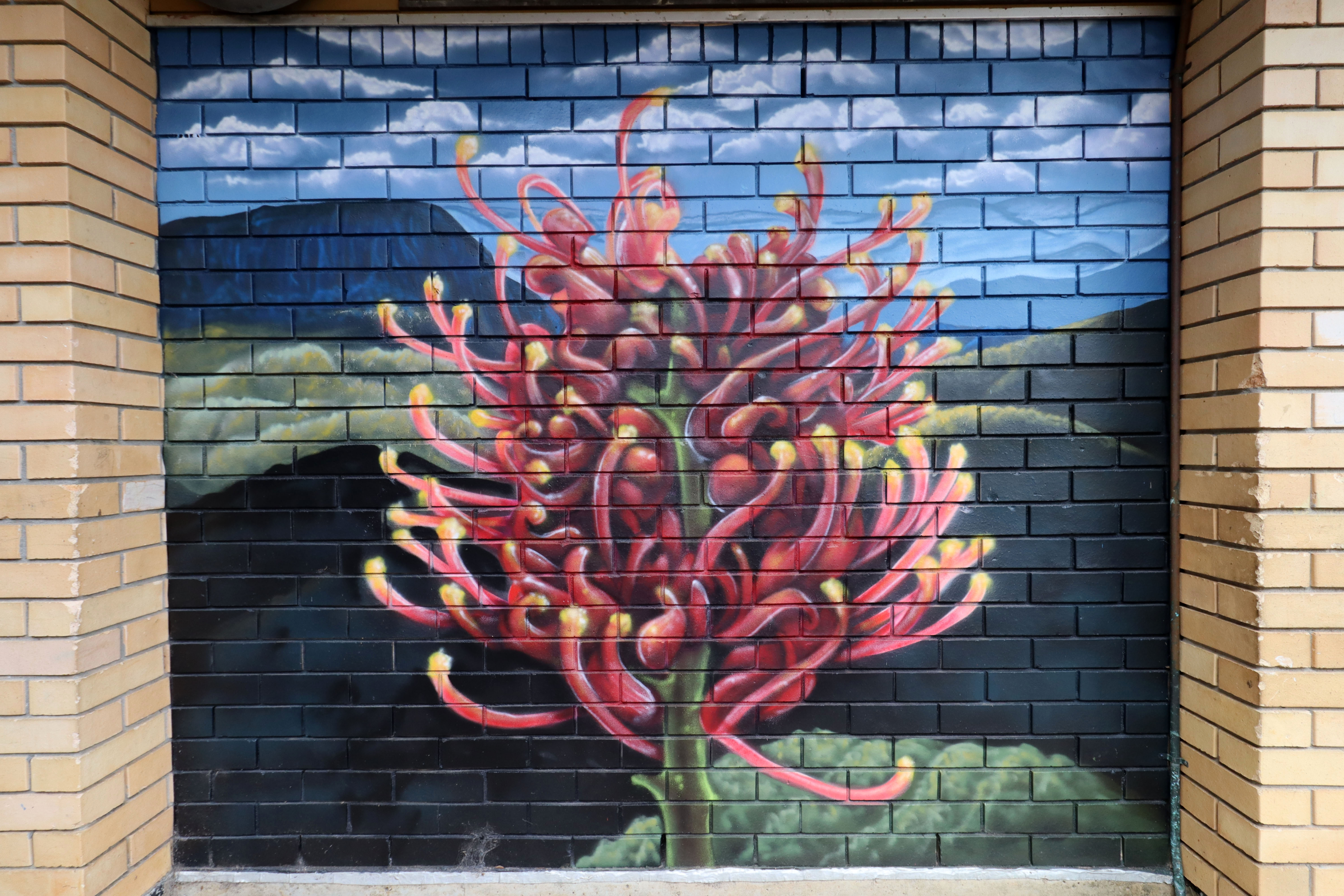 Untitled by Sekt Compton | Street Art NSW