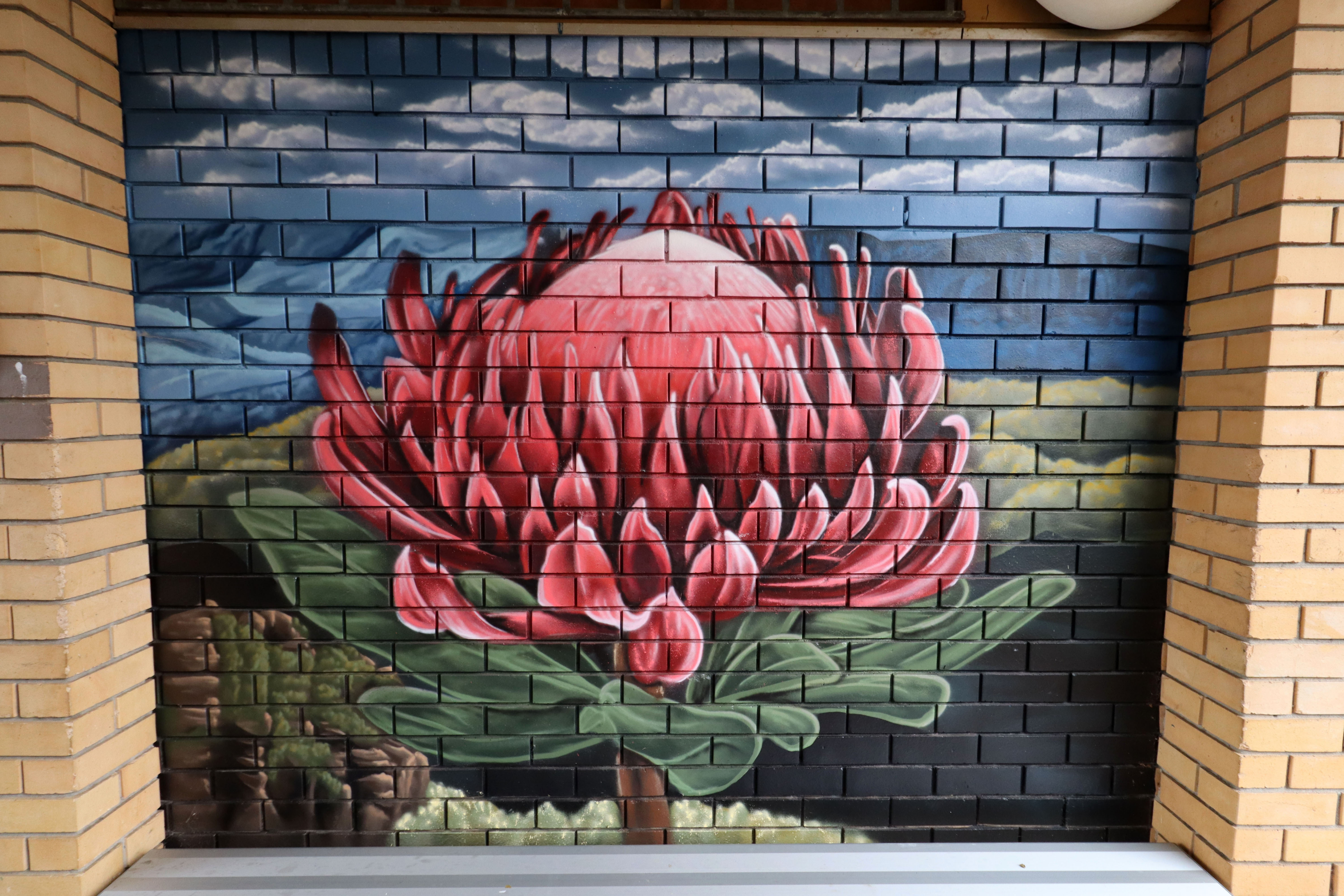 Untitled by Sekt Compton | Street Art NSW