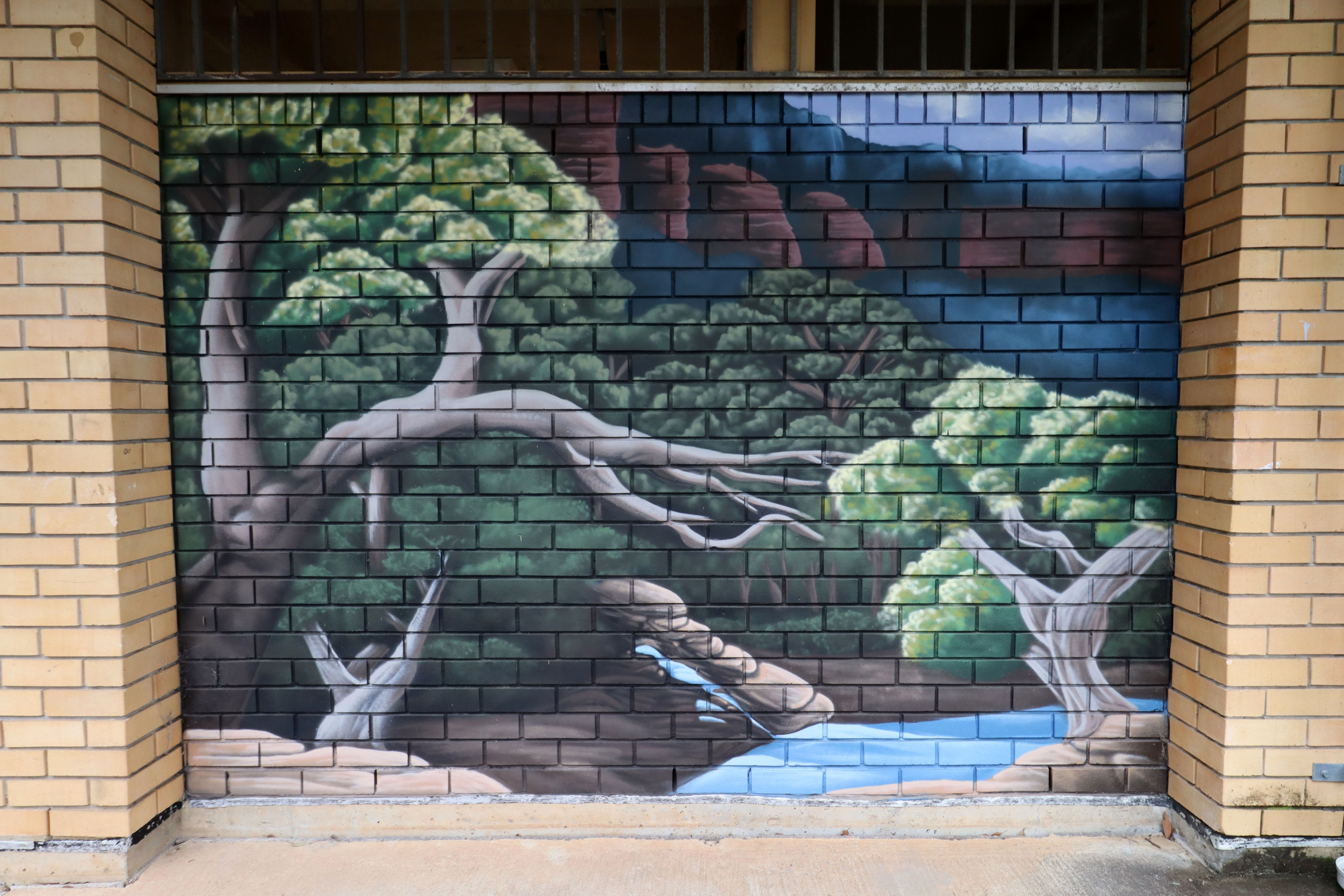 Untitled by Sekt Compton | Street Art NSW