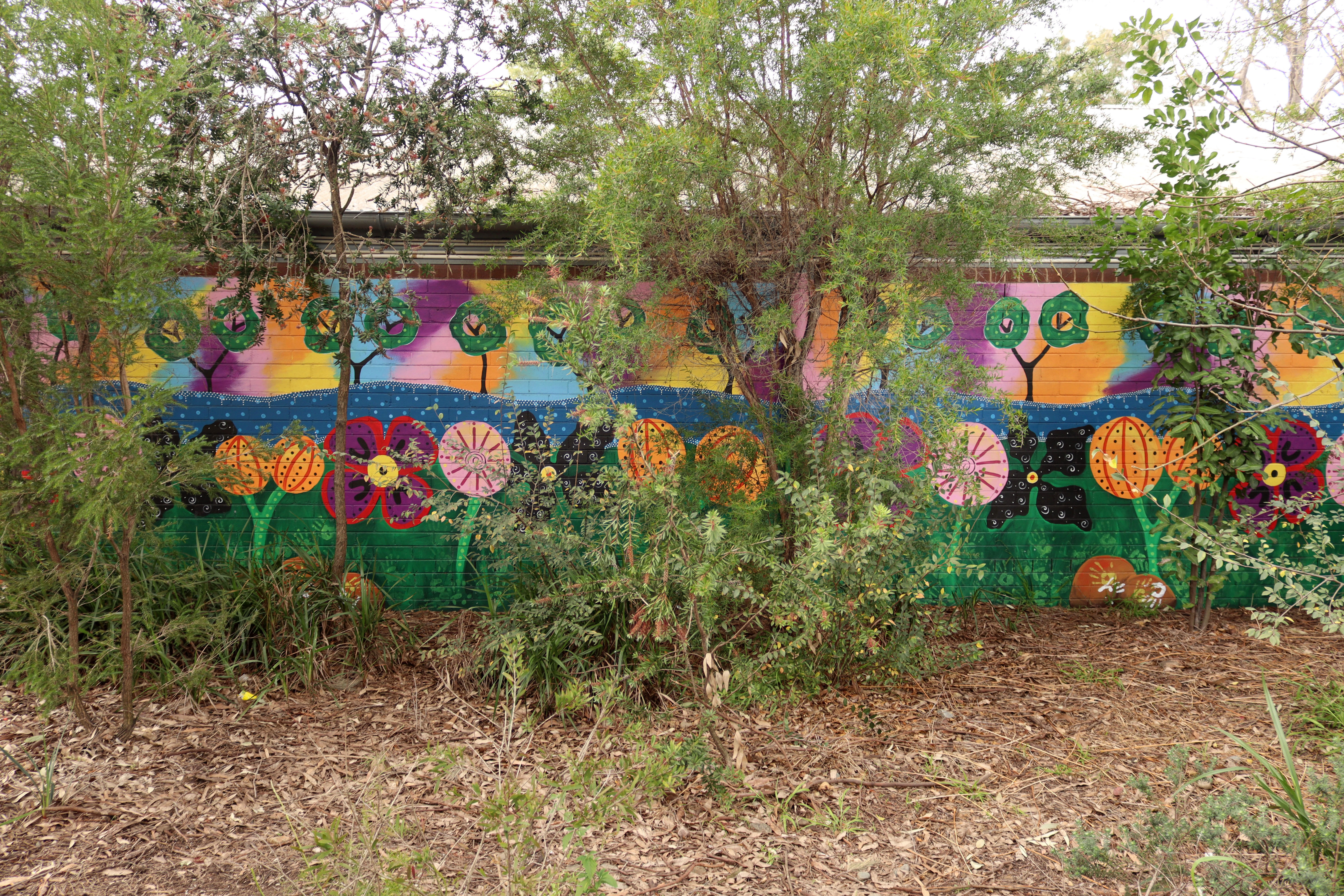 Indigenous Garden
